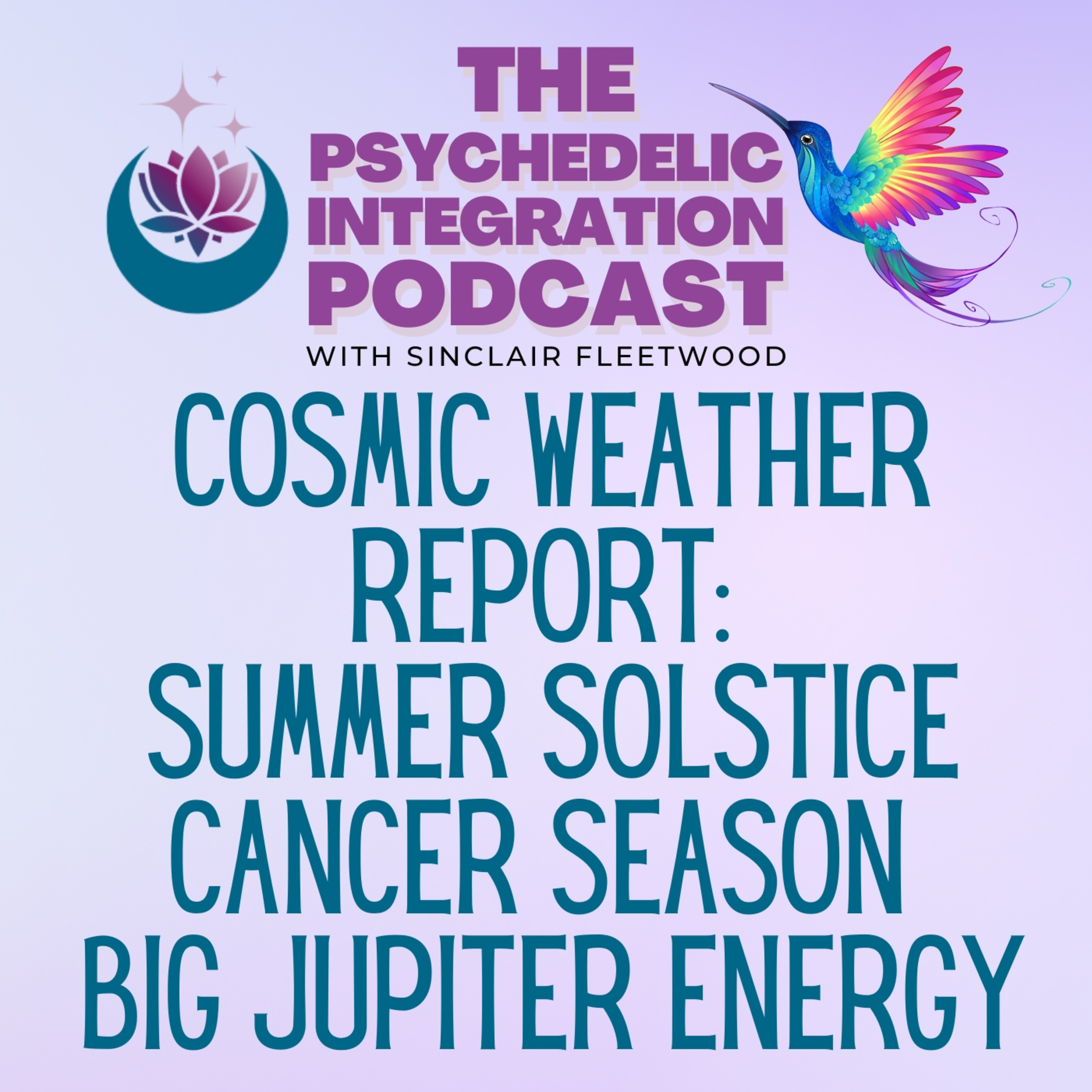 The Psychedelic Integration Podcast