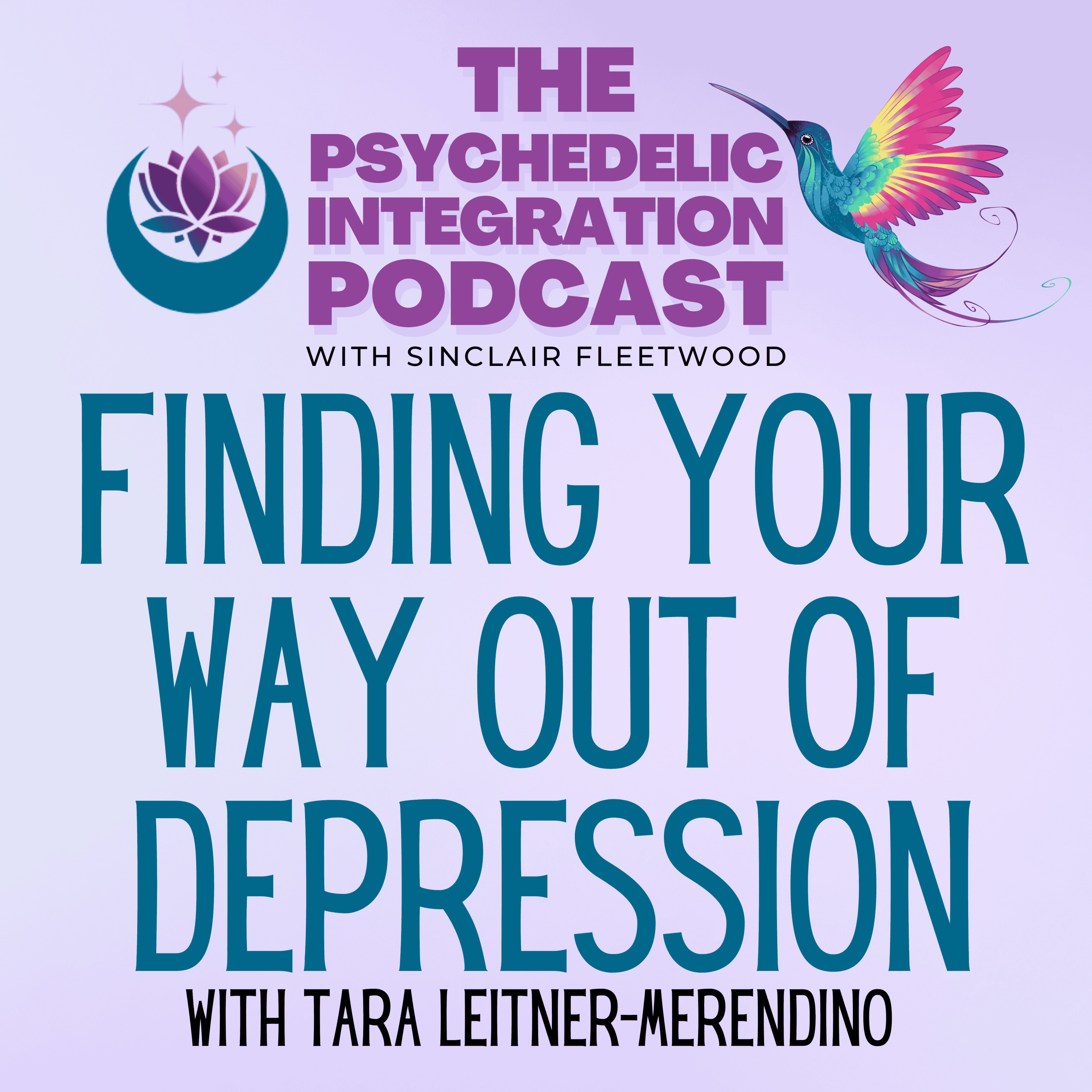 The Psychedelic Integration Podcast