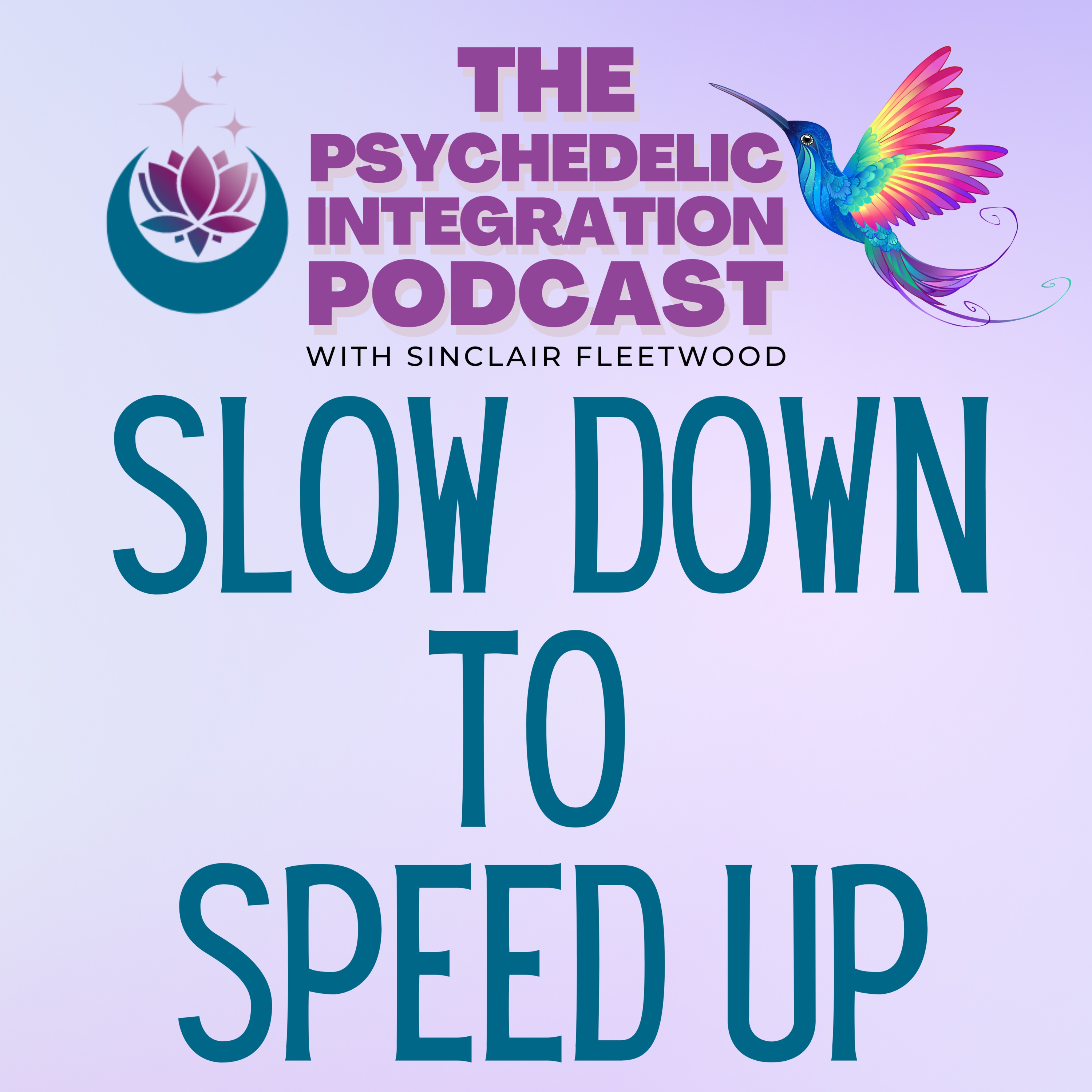 The Psychedelic Integration Podcast