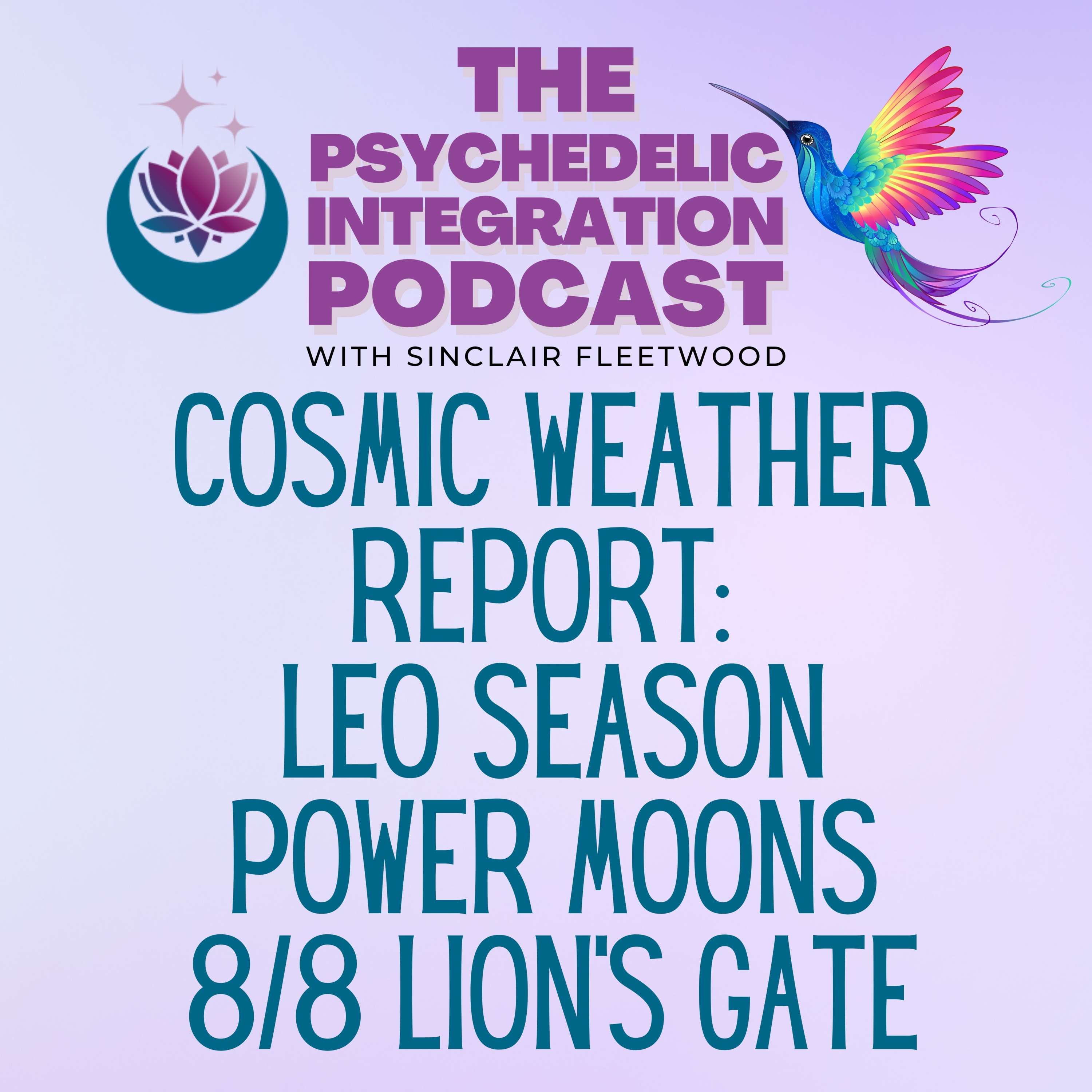 The Psychedelic Integration Podcast