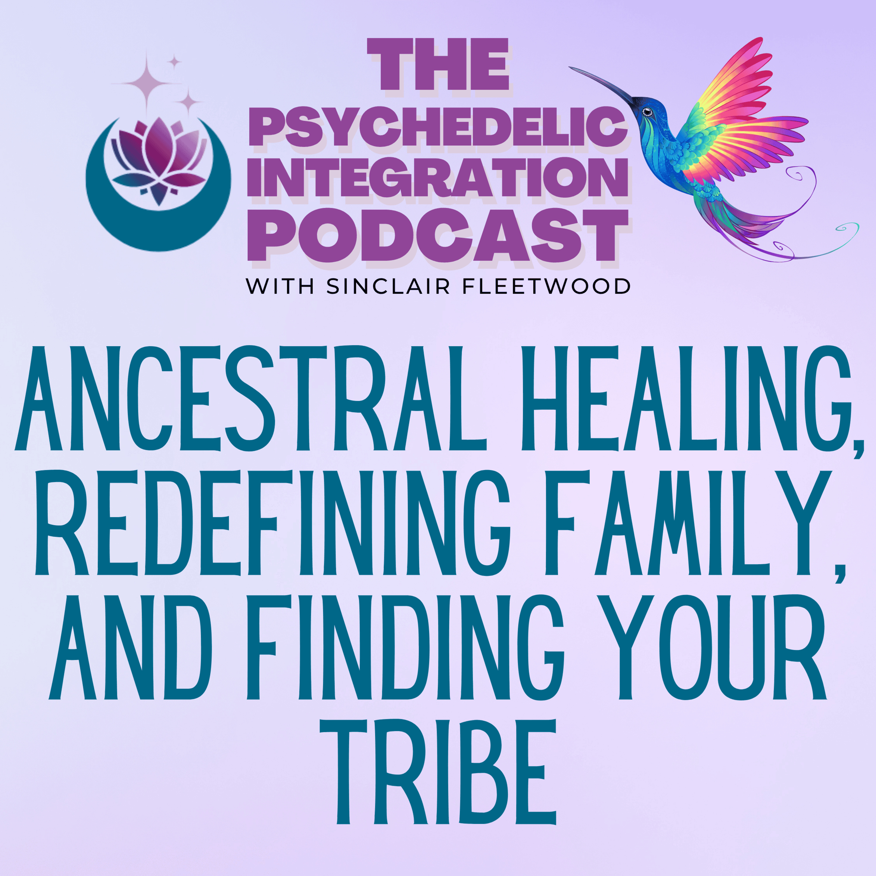 The Psychedelic Integration Podcast