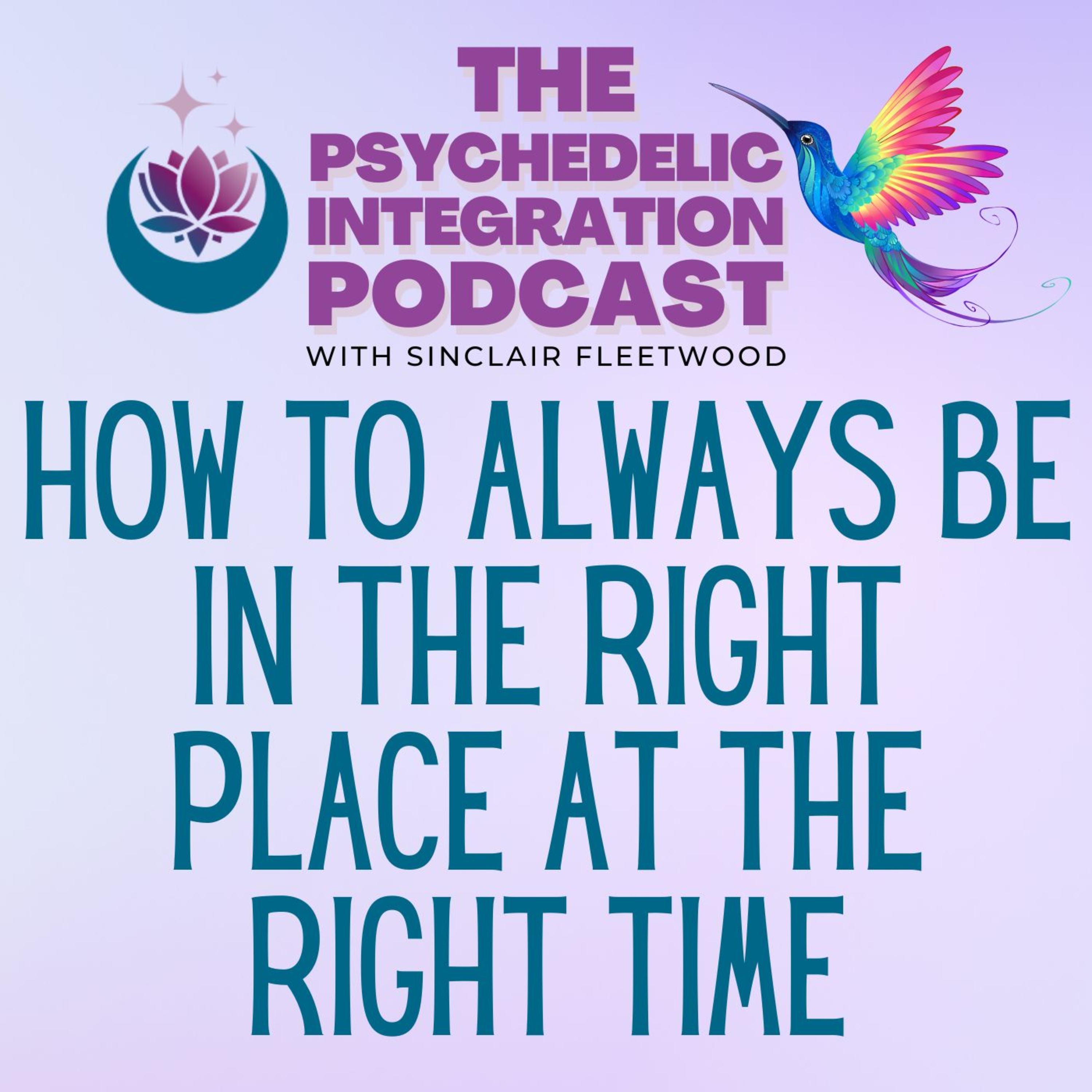The Psychedelic Integration Podcast