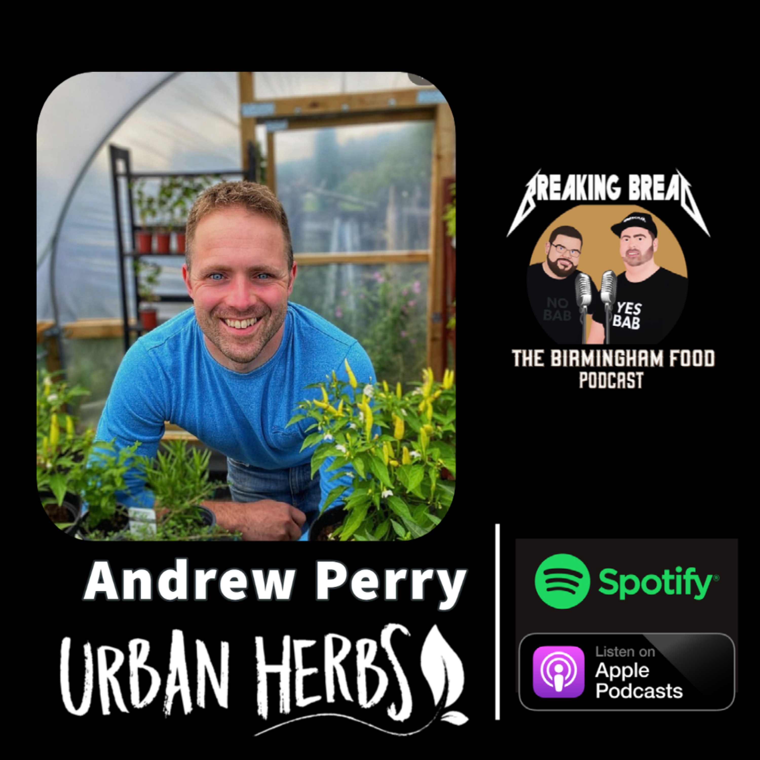 Harvesting Hope: Rediscover the Joy of Growing Your Own Food With Andy Urban Herbs episode artwork
