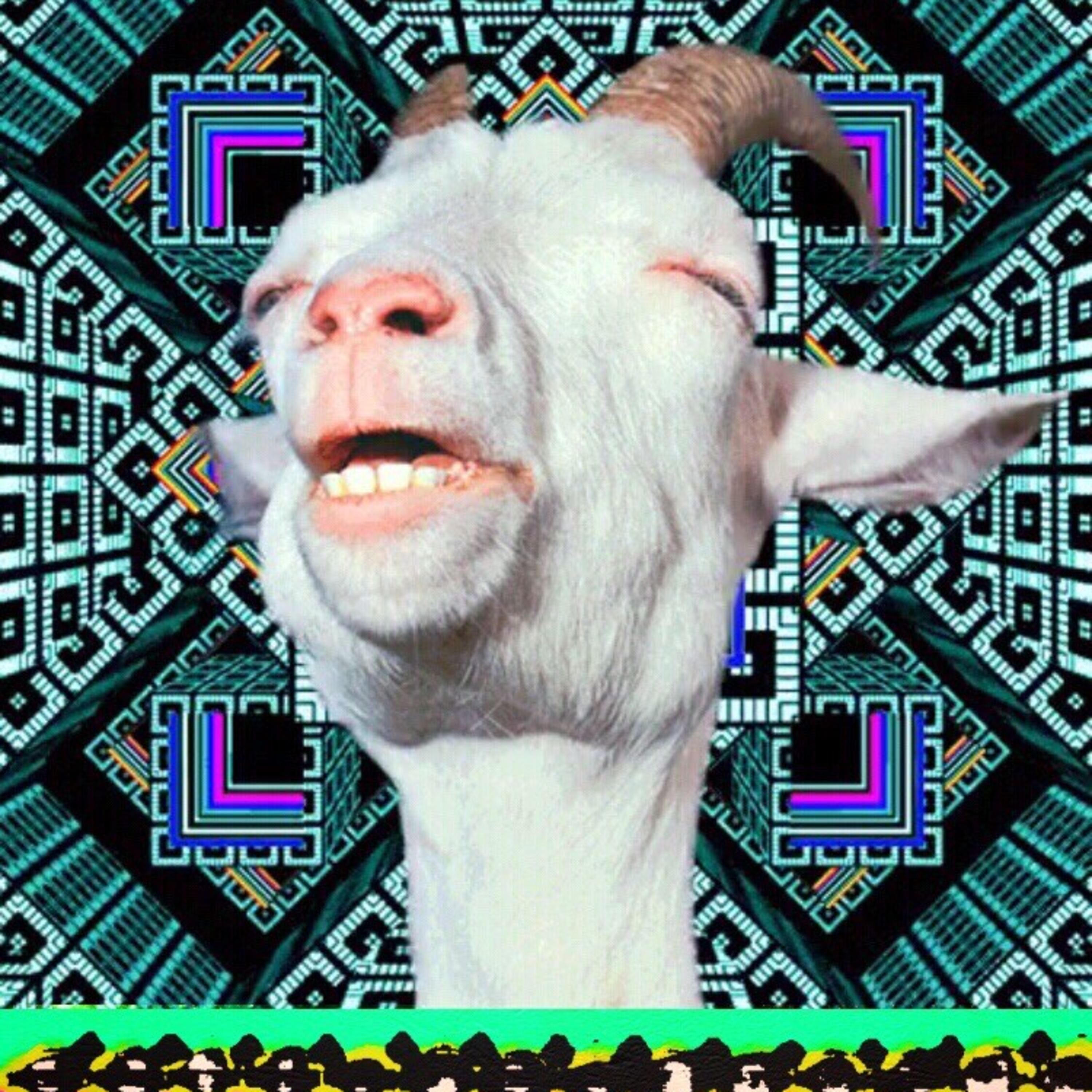 OnTheHighNote