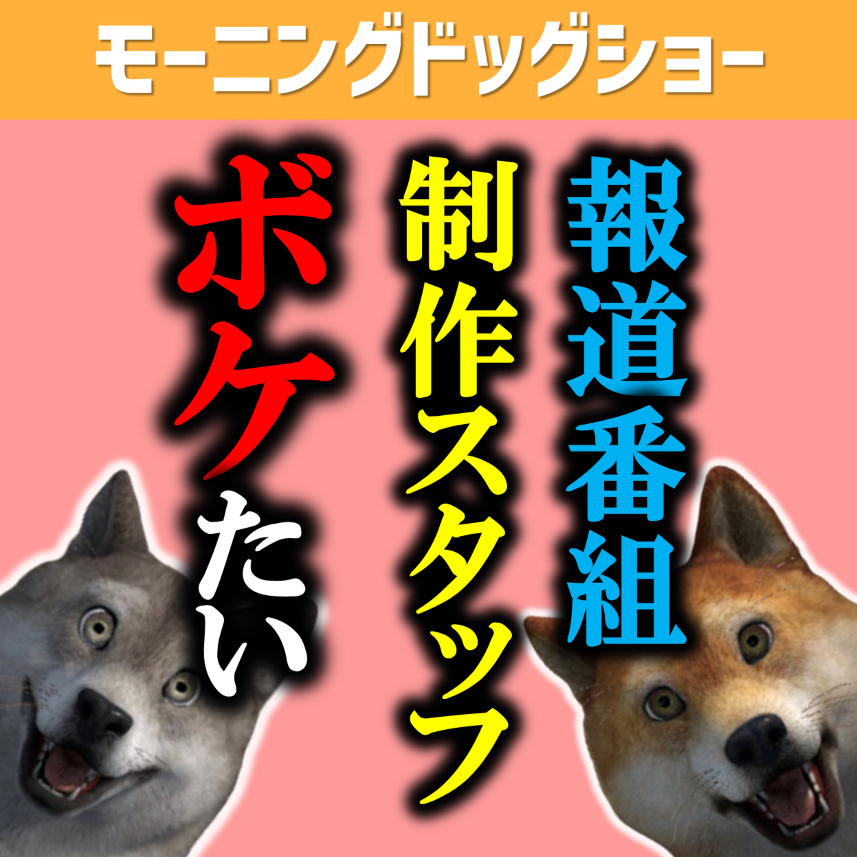 マジメに番組を制作するけどたまにはボケたくなるんだ。 episode artwork