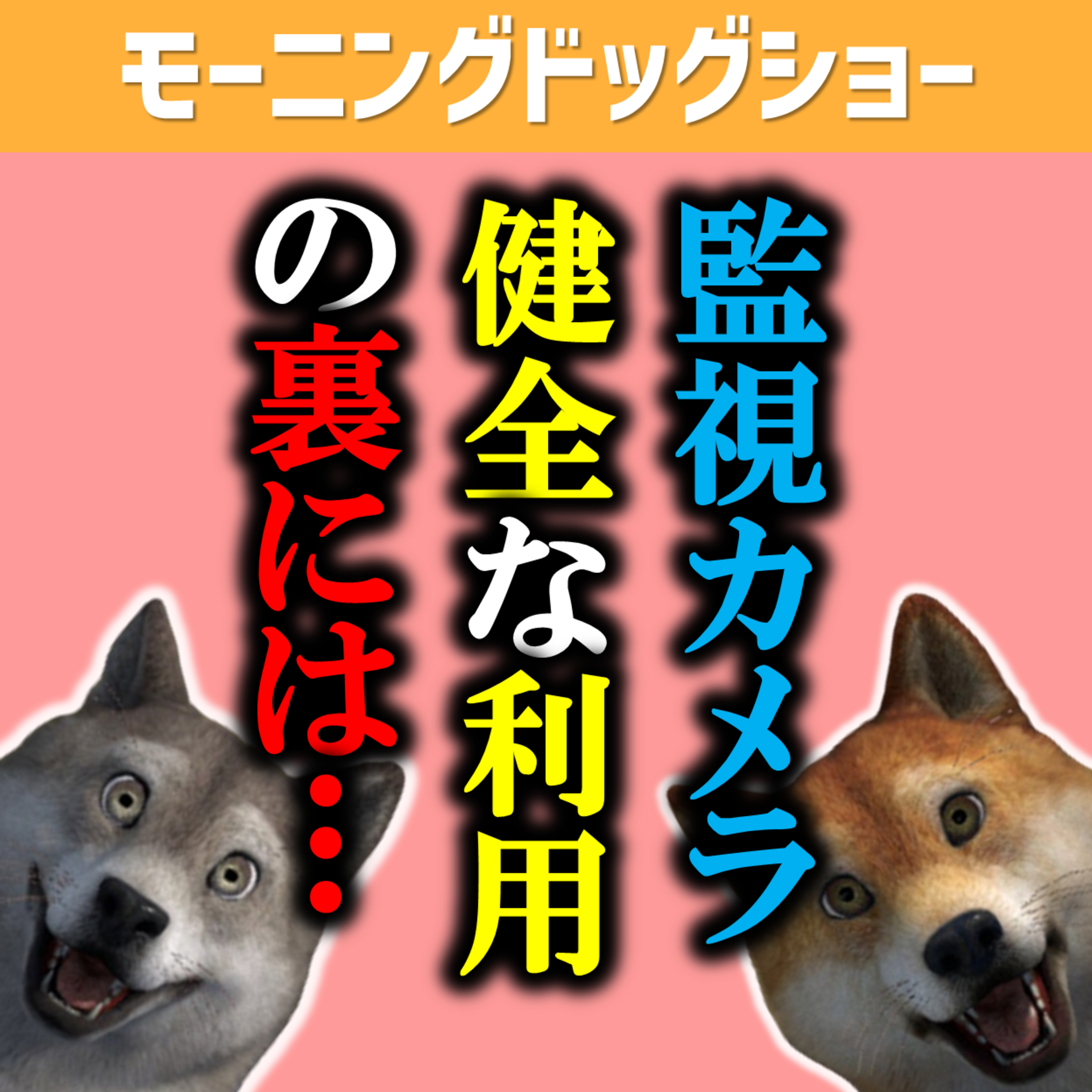 世の中便利になった反面、不都合も生じているのかもしれない。 episode artwork