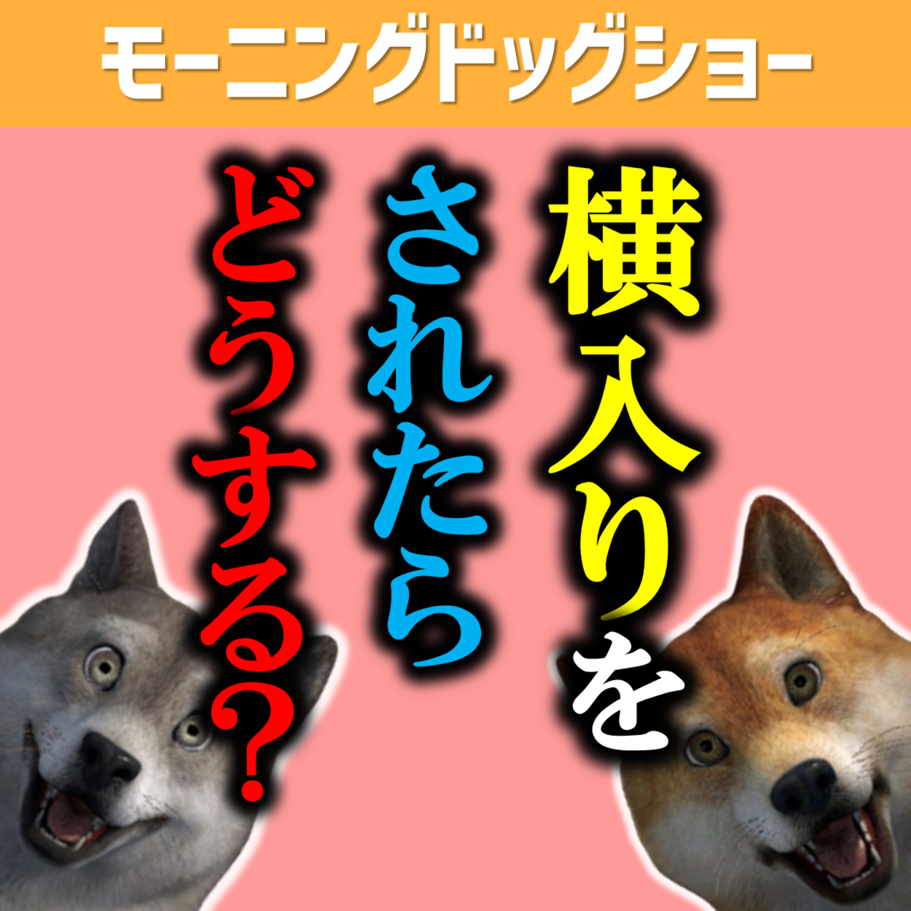 ふとした瞬間に横入りされた場合の気持ちと対処法 episode artwork