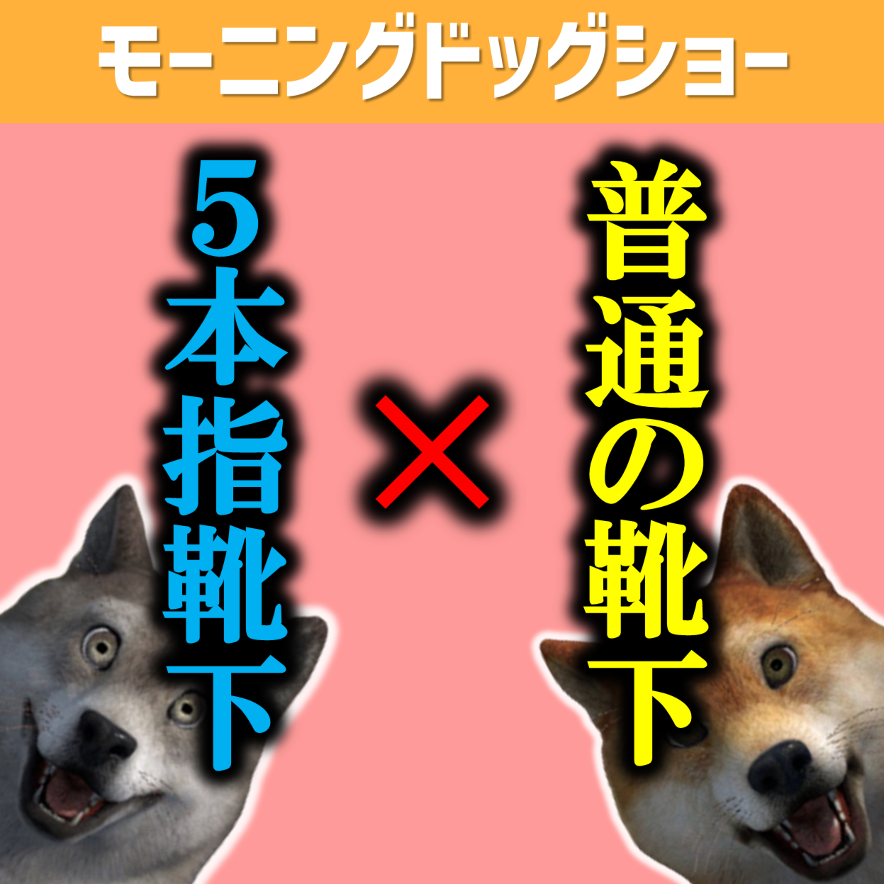 今履いてるのは、普通の靴下or5本指靴下どっちですか？ episode artwork
