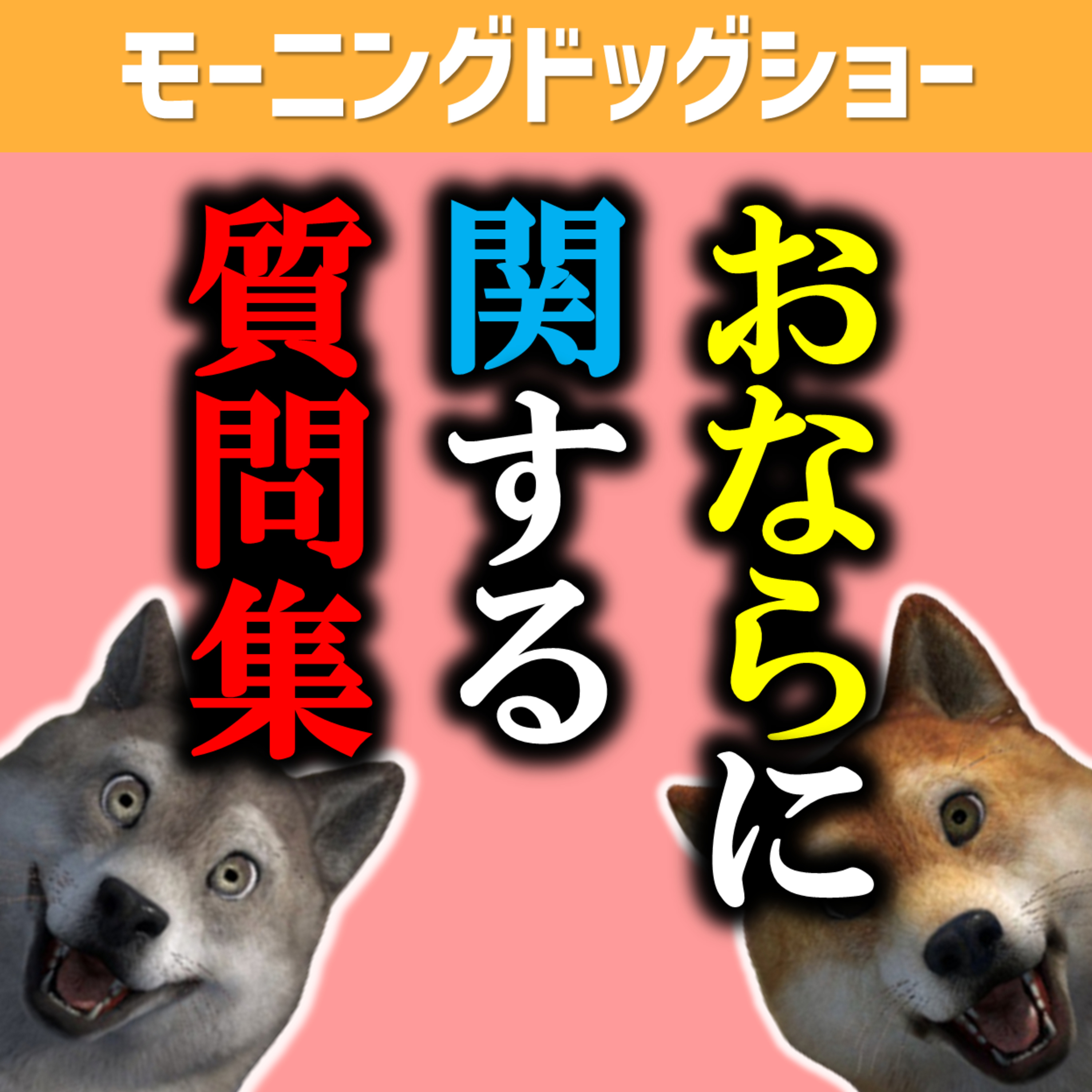  おならに関する質問にお答えください。 episode artwork
