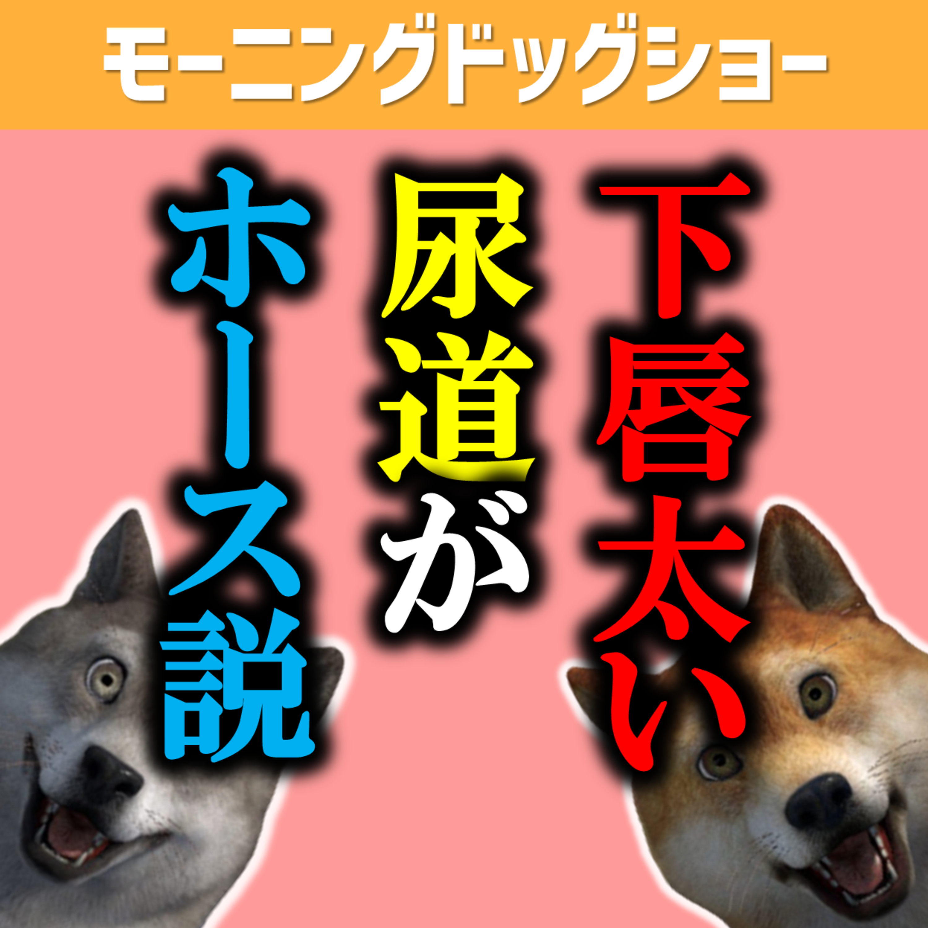 【拝聴注意】下唇太いor天パの人へのど偏見 episode artwork