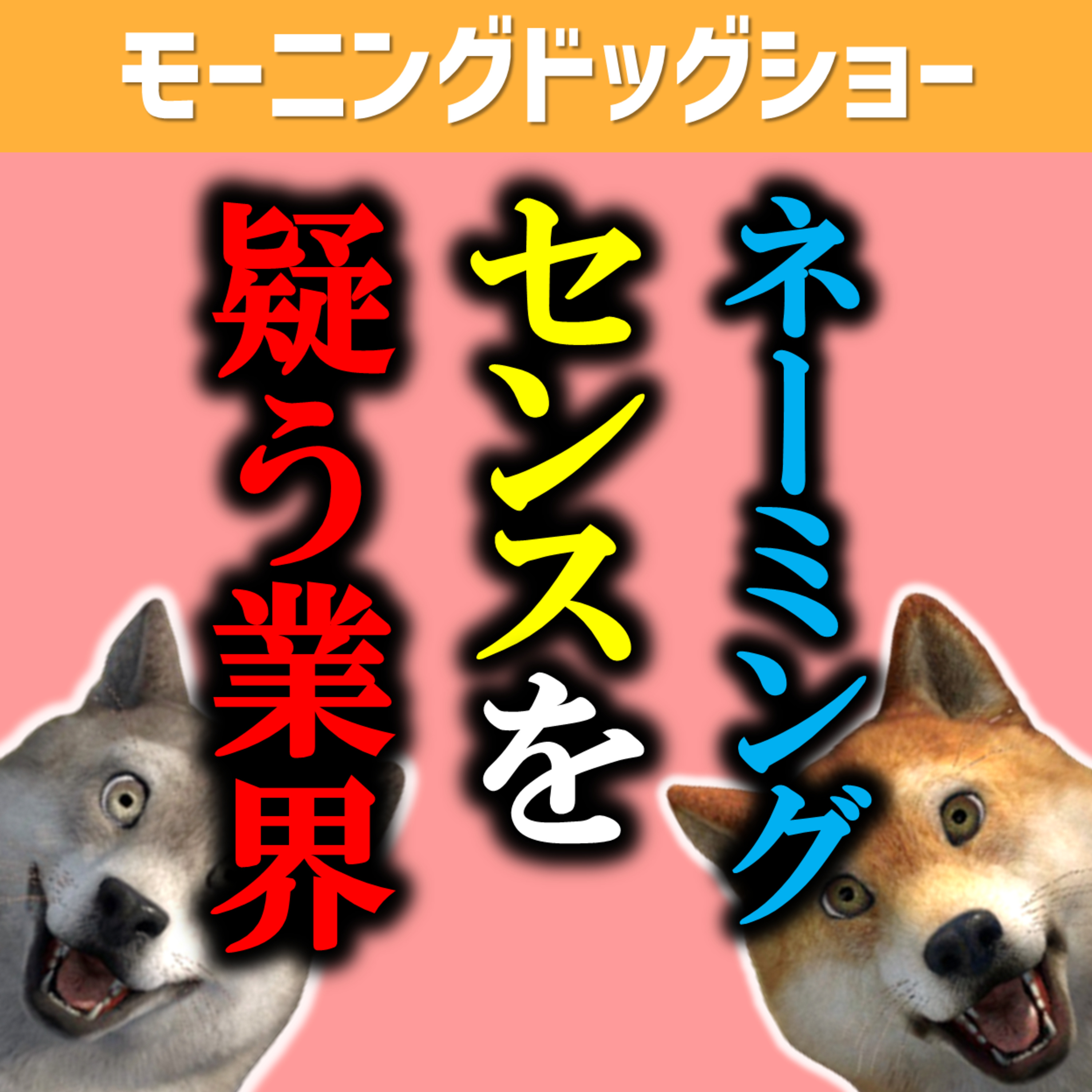 「なぜその名前にしたの？」と疑ってしまう名前 episode artwork