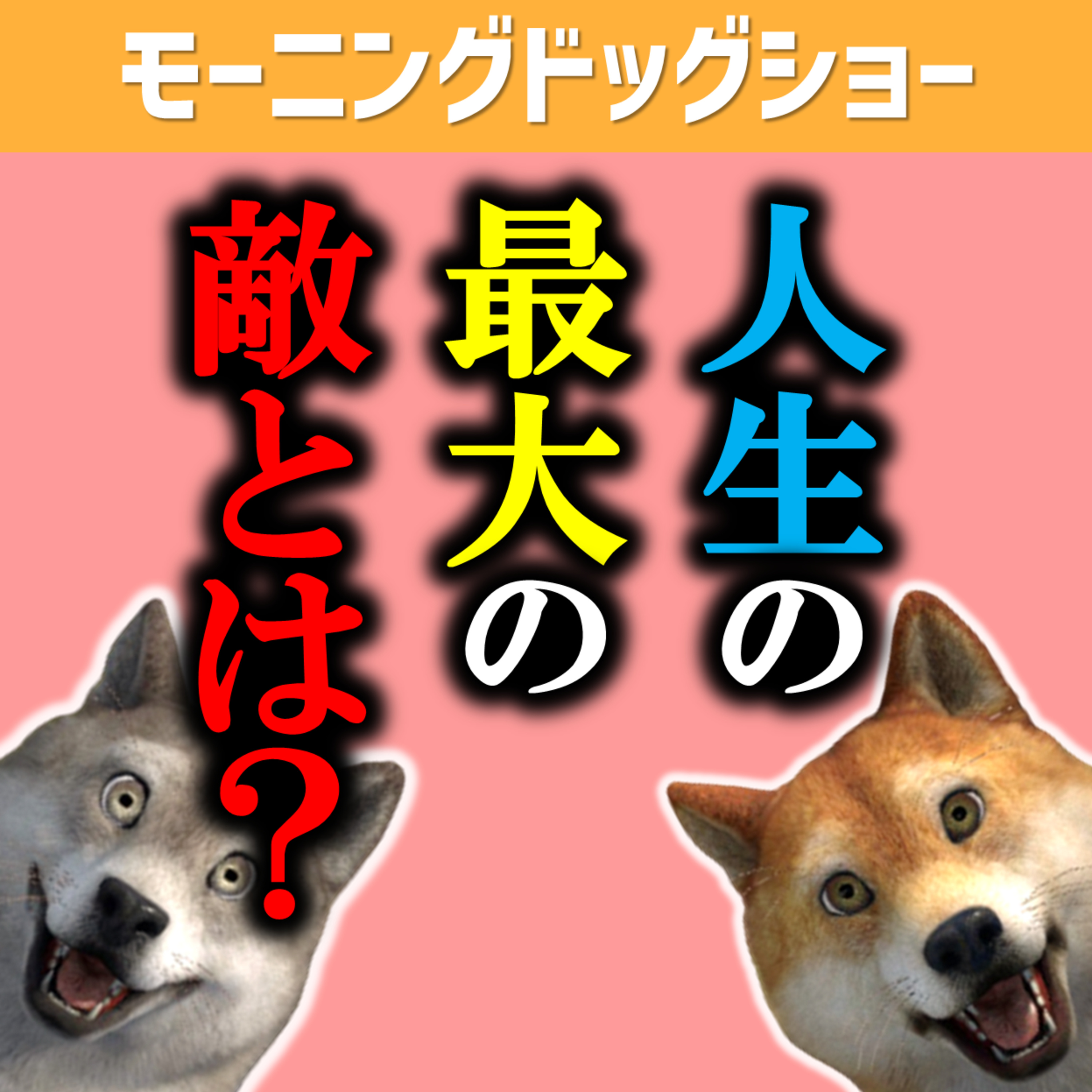 人生の最大の敵に対抗するために必要なことは何か？ episode artwork