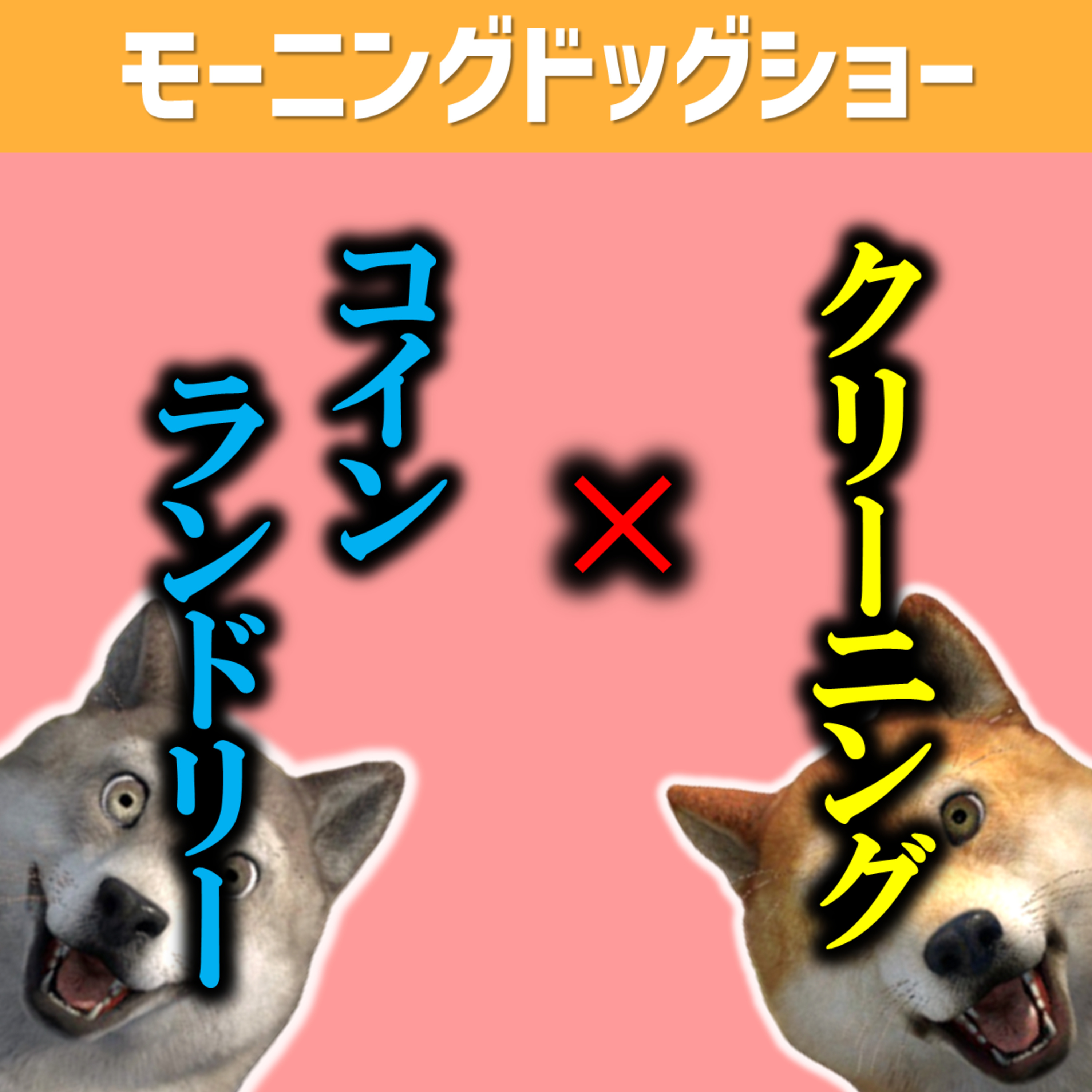 クリーニング、コインランドリー今月いきましたか？ episode artwork