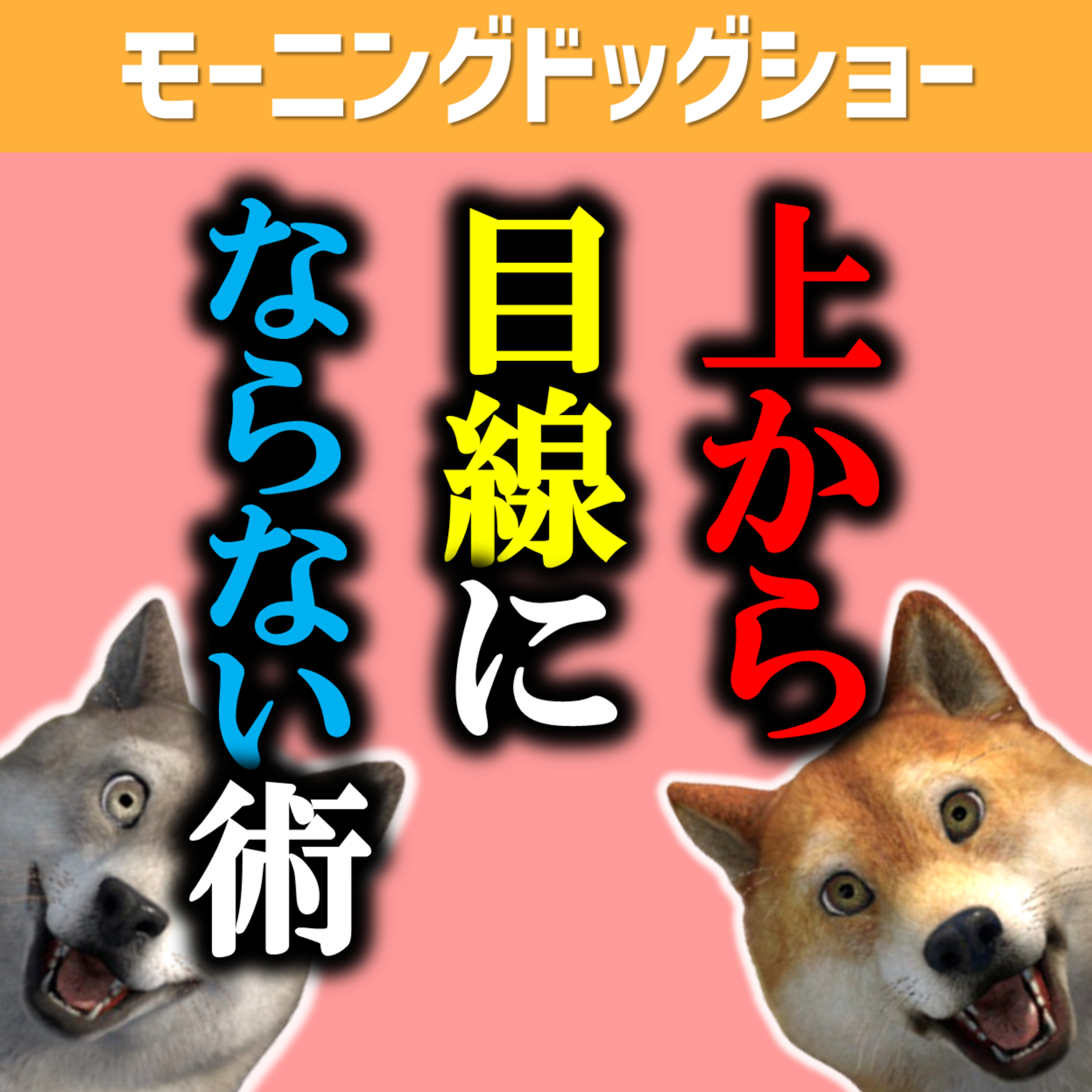 【伝え方】一回り下の方に上から目線ではなく伝える方法はなにか？ episode artwork