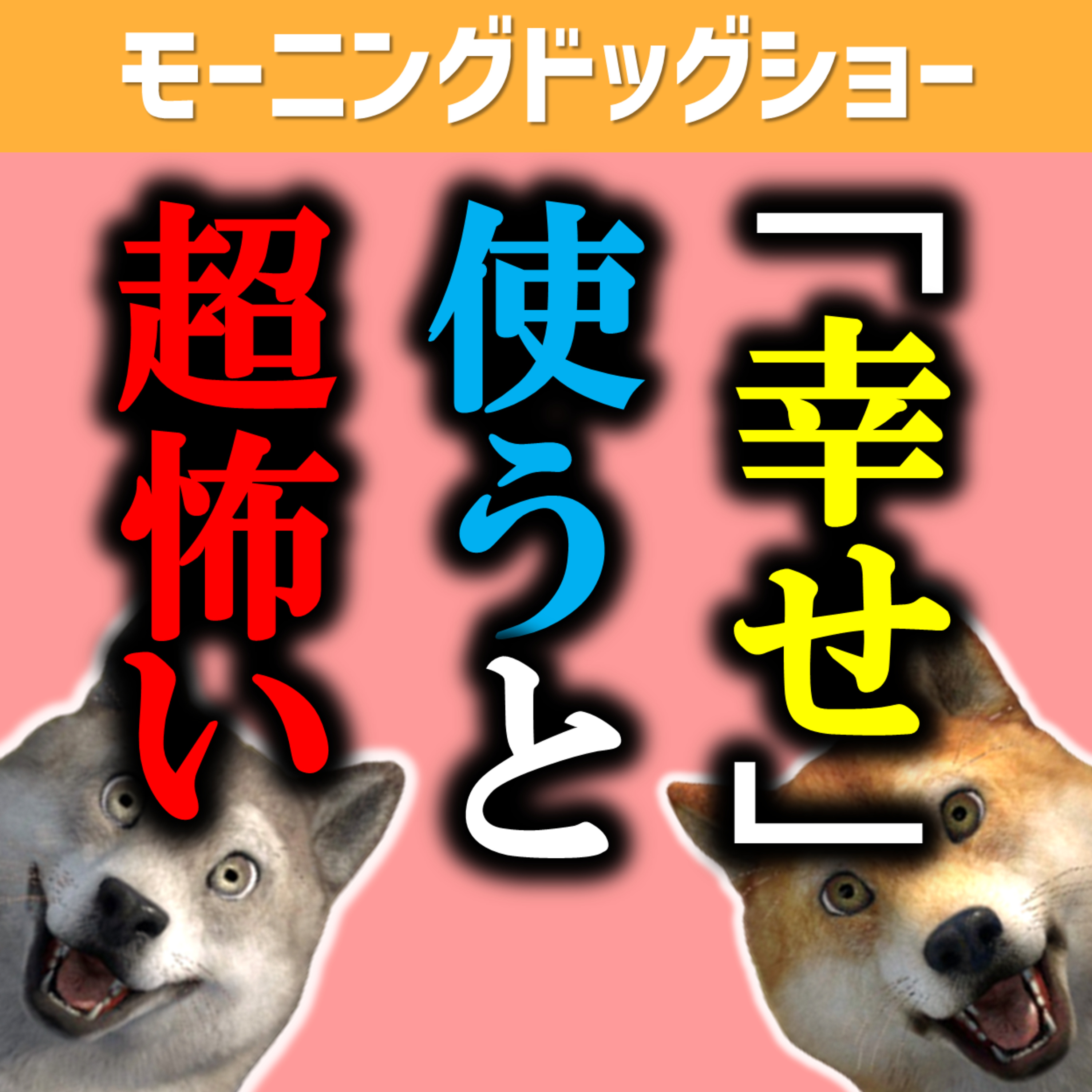 【団体の立ち上げ？】「幸せ」という言葉に惑わされるかどうかの実験放送 episode artwork