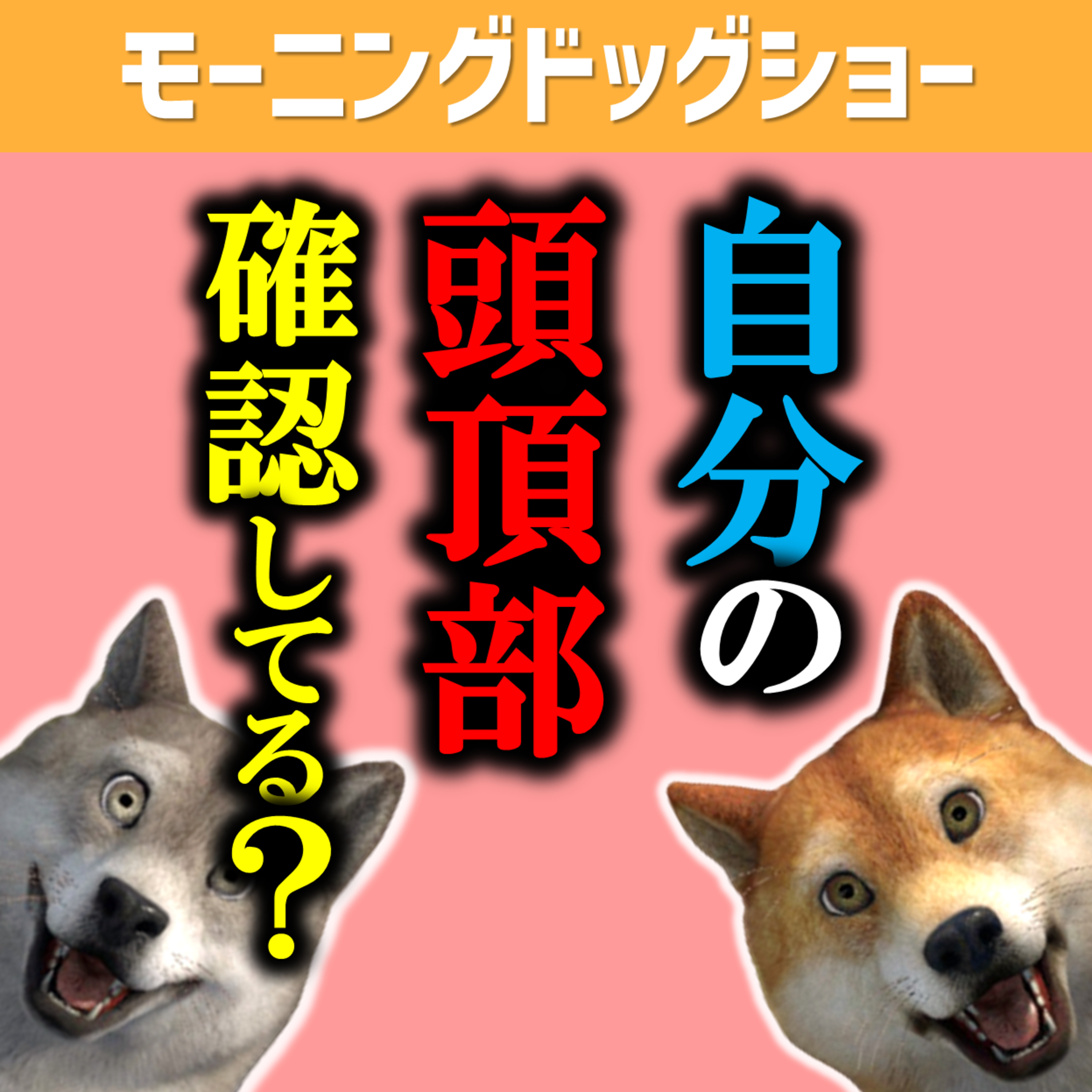 【近サト】ロマンスグレーにするタイミングはいつがベストか？ episode artwork