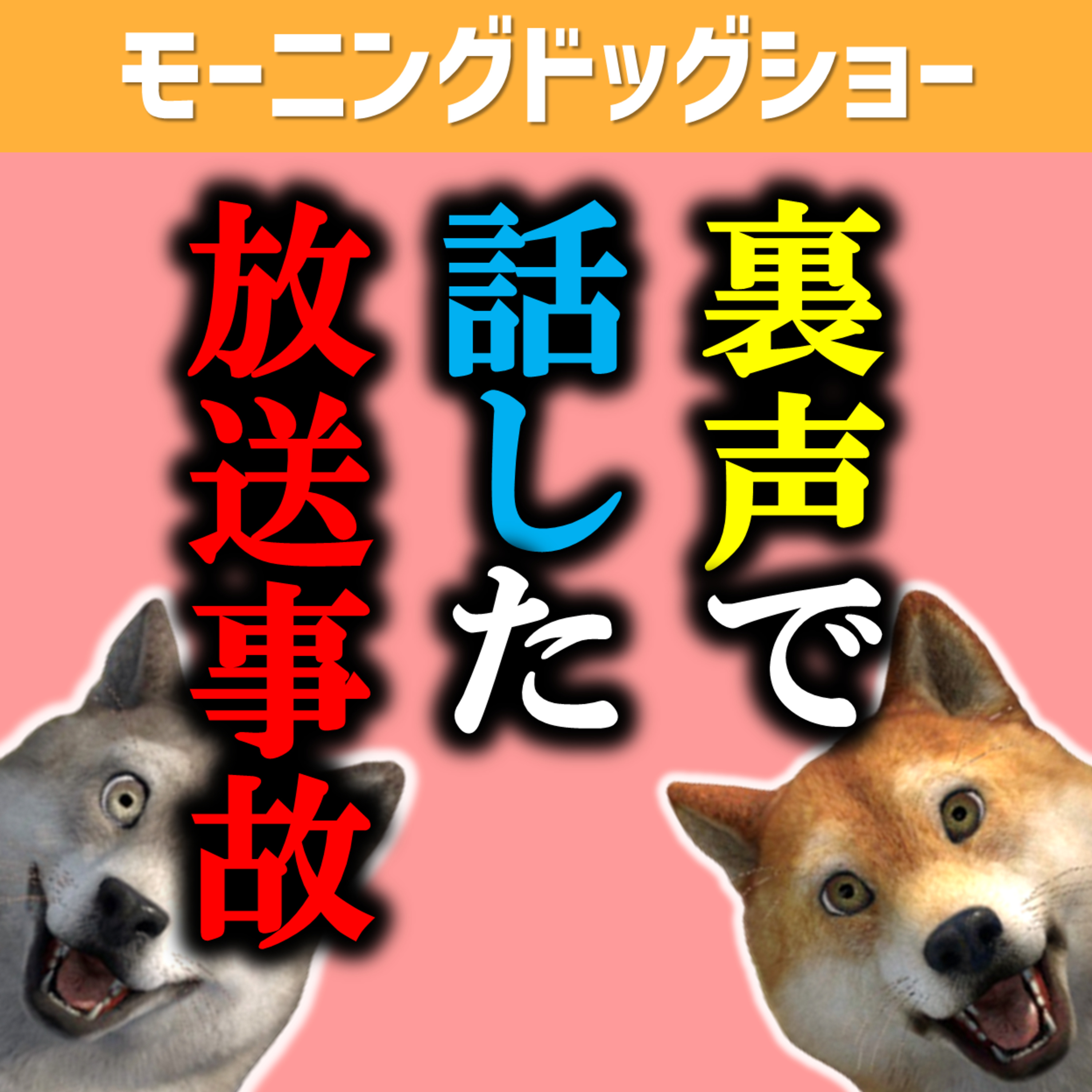【企画】裏声で問答すると誰も聞いてくれない恐れがあるけどやった回 episode artwork