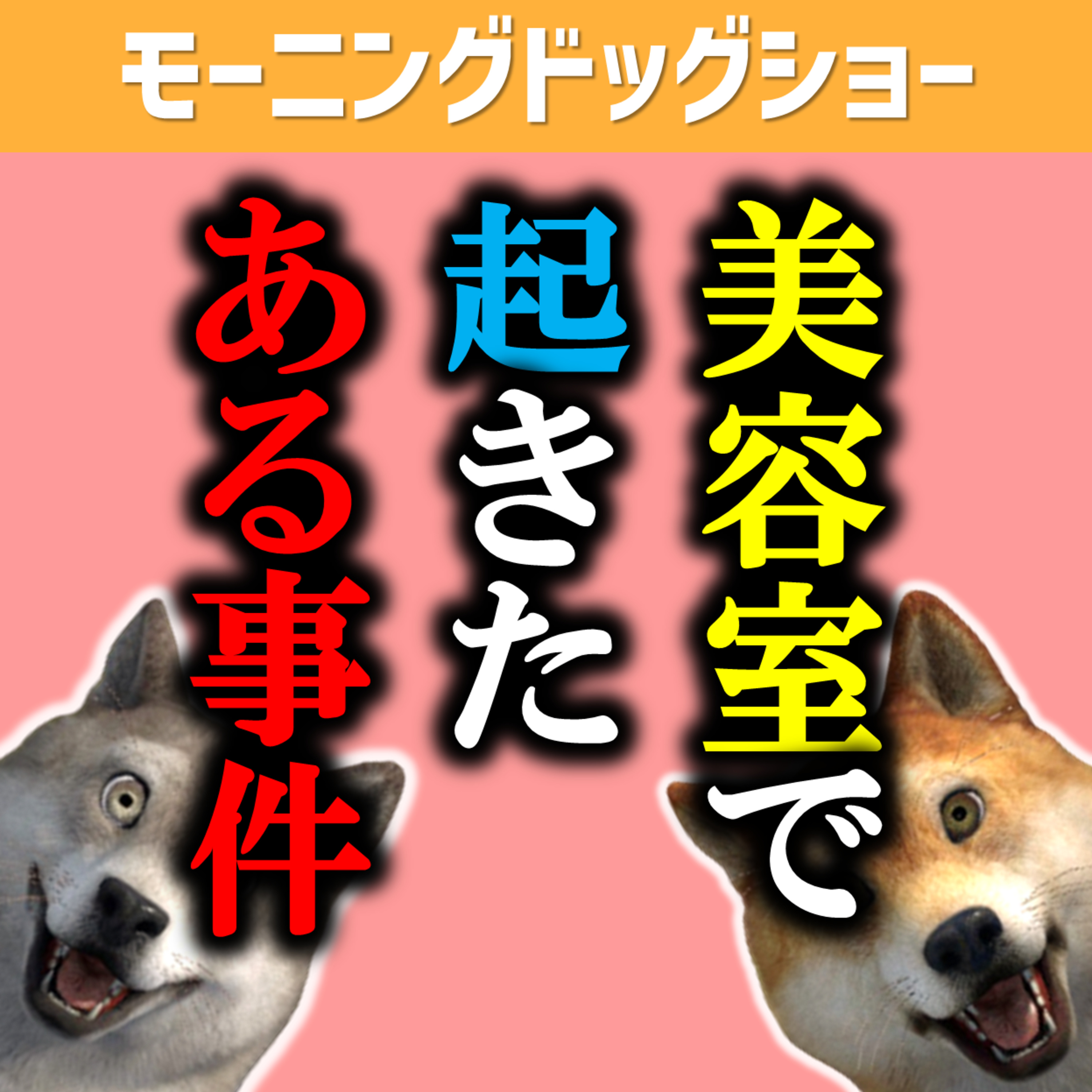 【初訪問】店員1人客0人の美容室で起きた事件 episode artwork