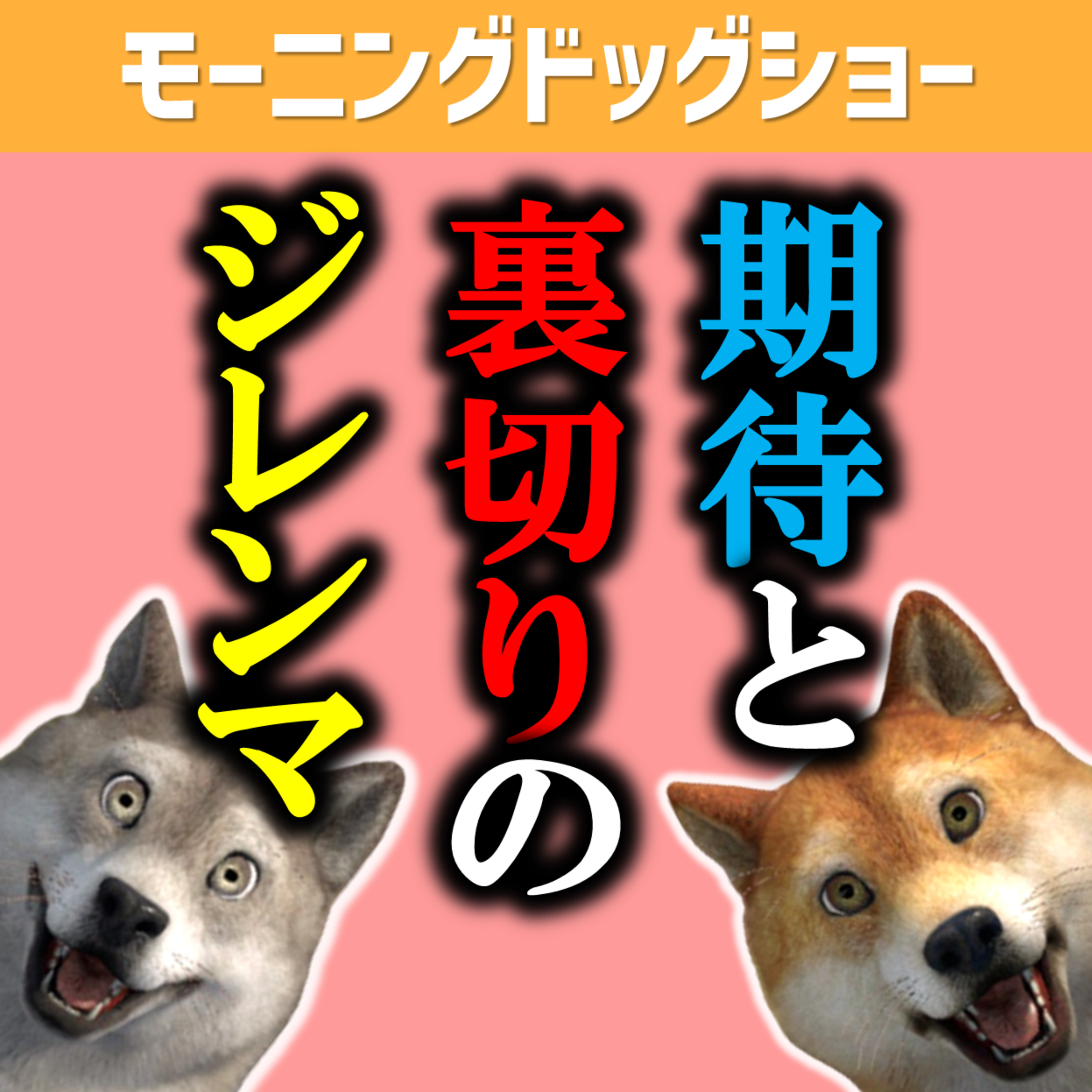 期待をさせると裏切ってしまう可能性が発生するので期待させない方がいいこともある episode artwork
