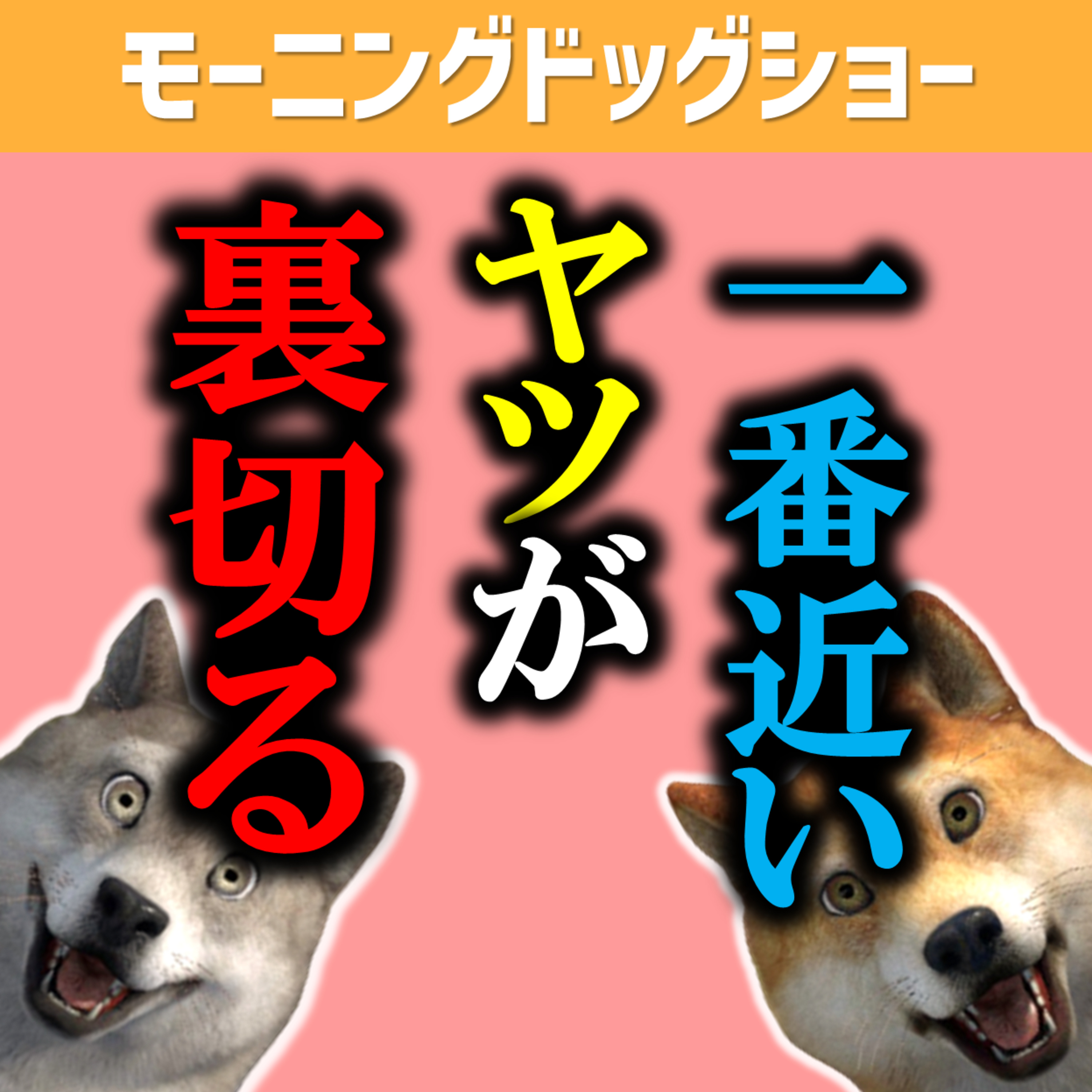 信頼するけど信用しないほうがいいのは一番近いヤツ episode artwork