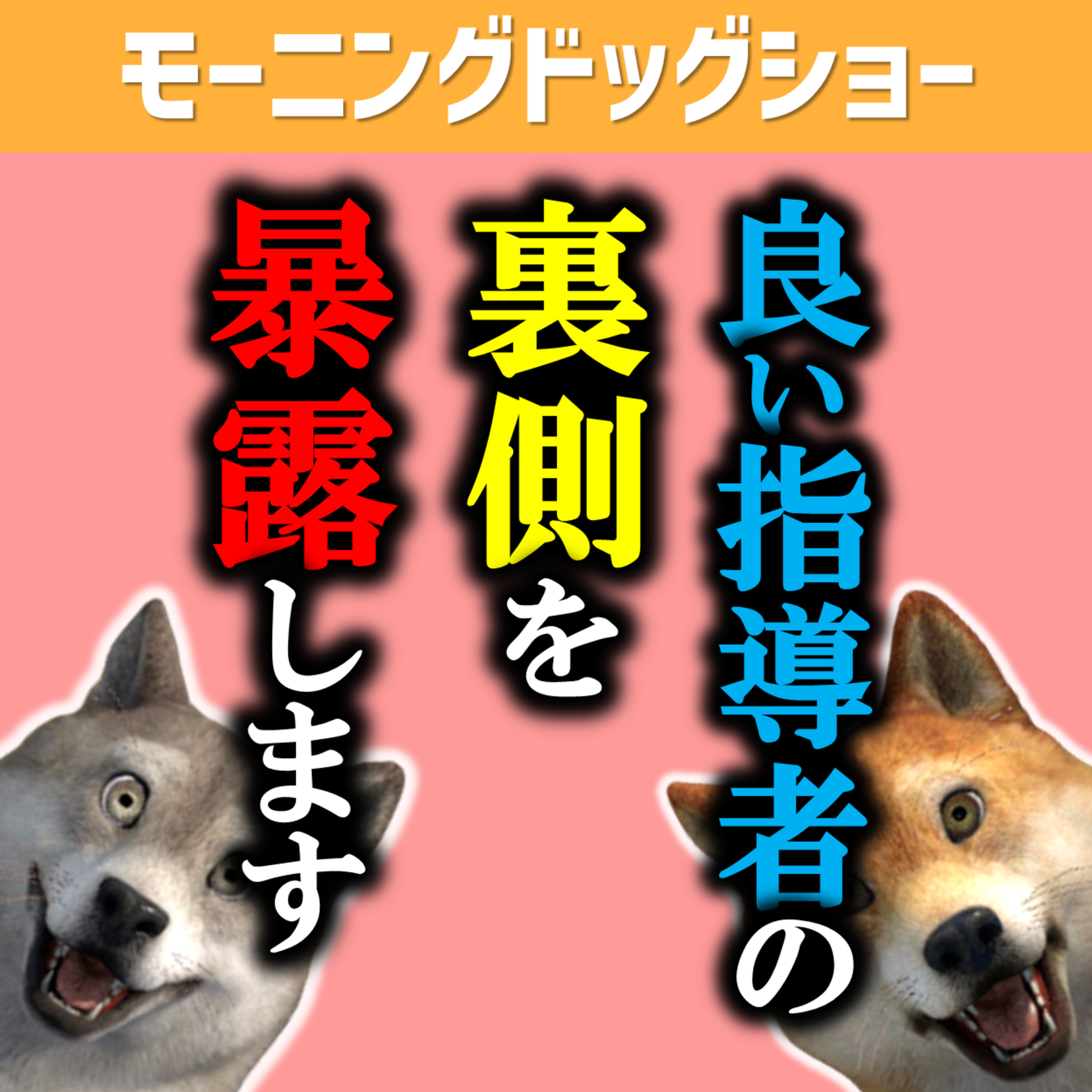 良い指導者の裏側にはあるモノが蔓延っている episode artwork