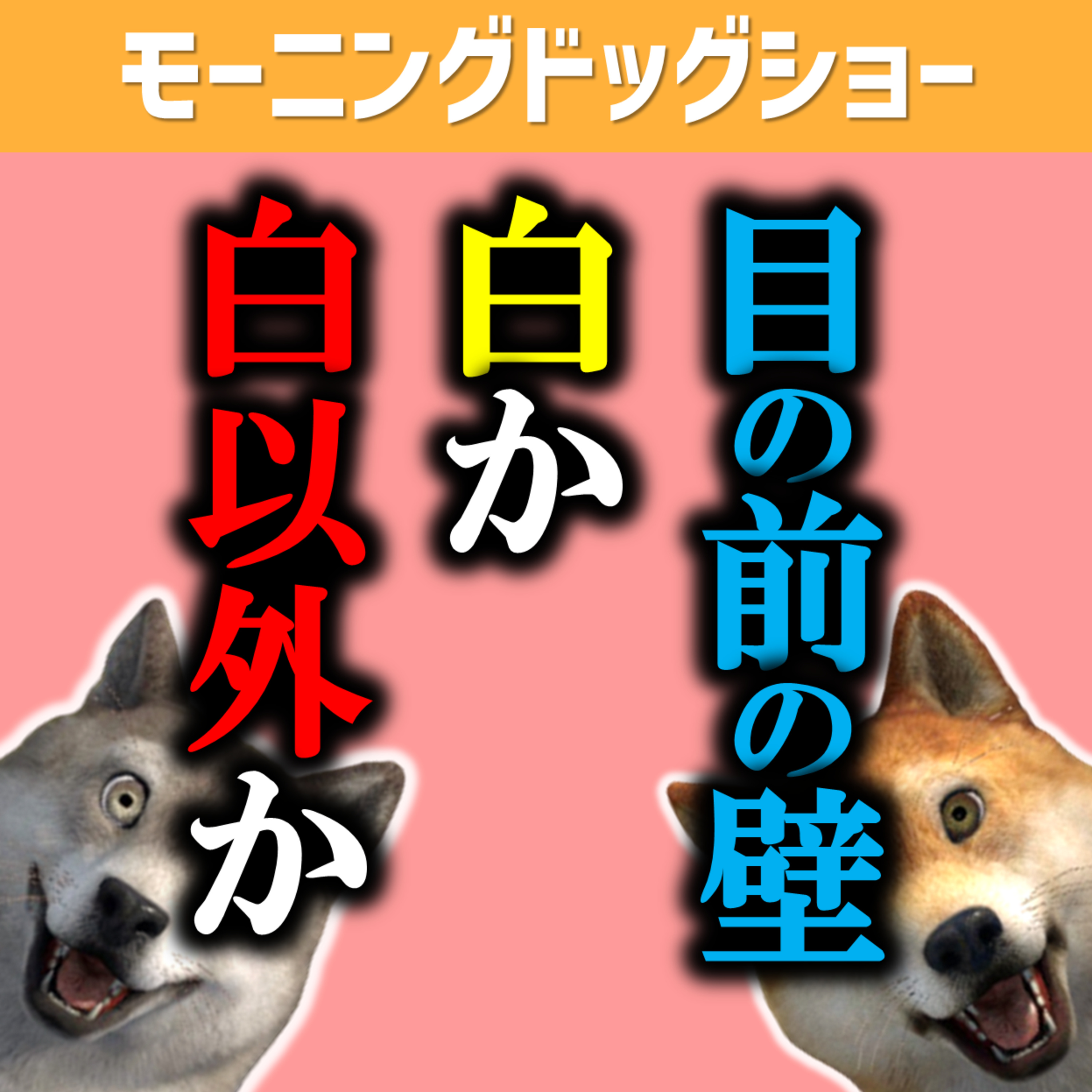 目の前の壁の色。白か白以外か episode artwork