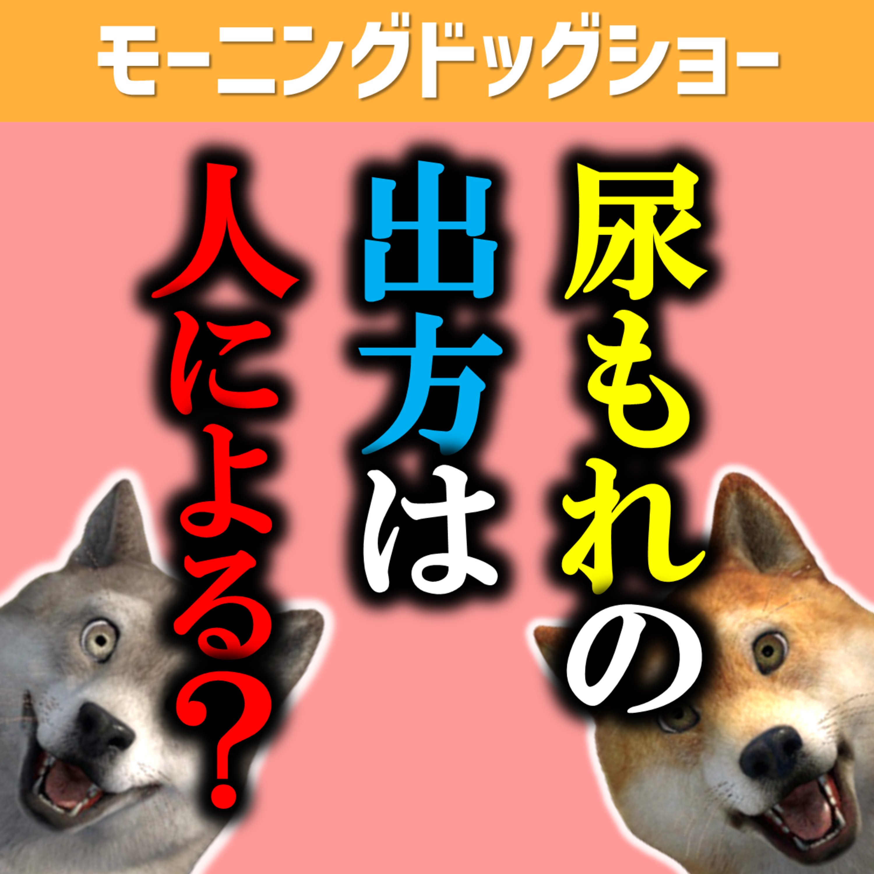 【切実問題】尿漏れのロジックが人によって違うから改善方法も違う episode artwork
