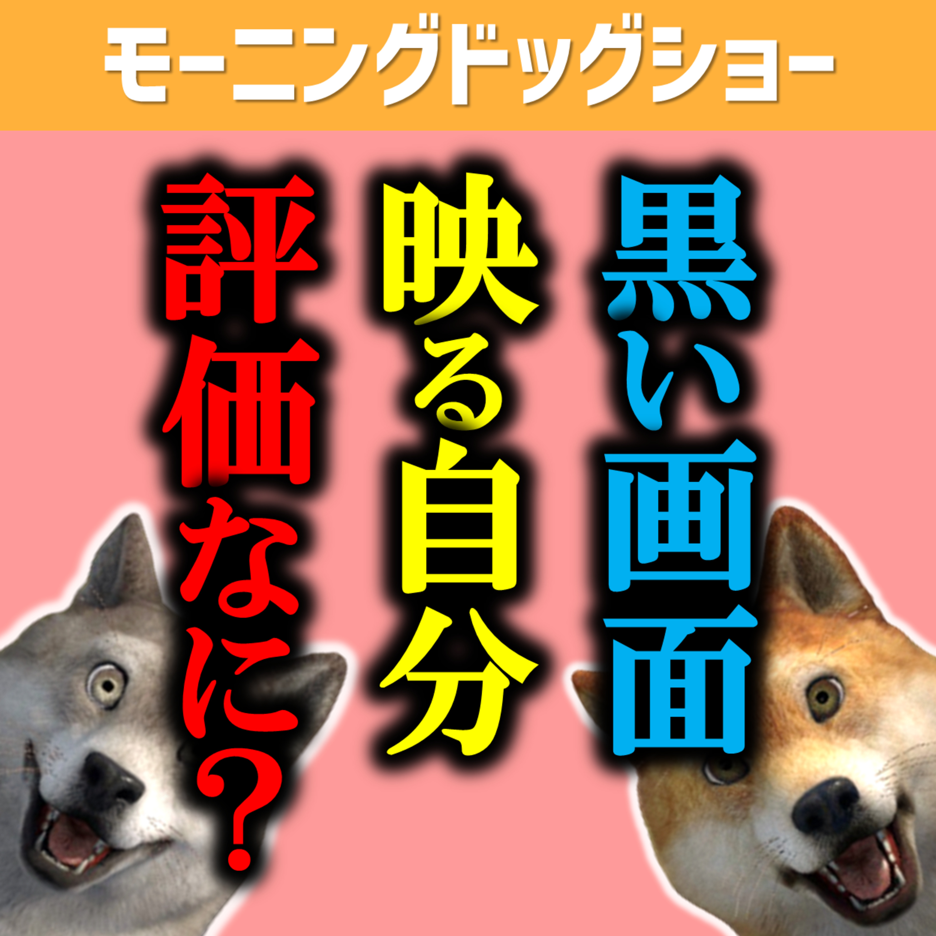 【驚愕】突然映る自分の顔に驚愕する自分に凹む episode artwork