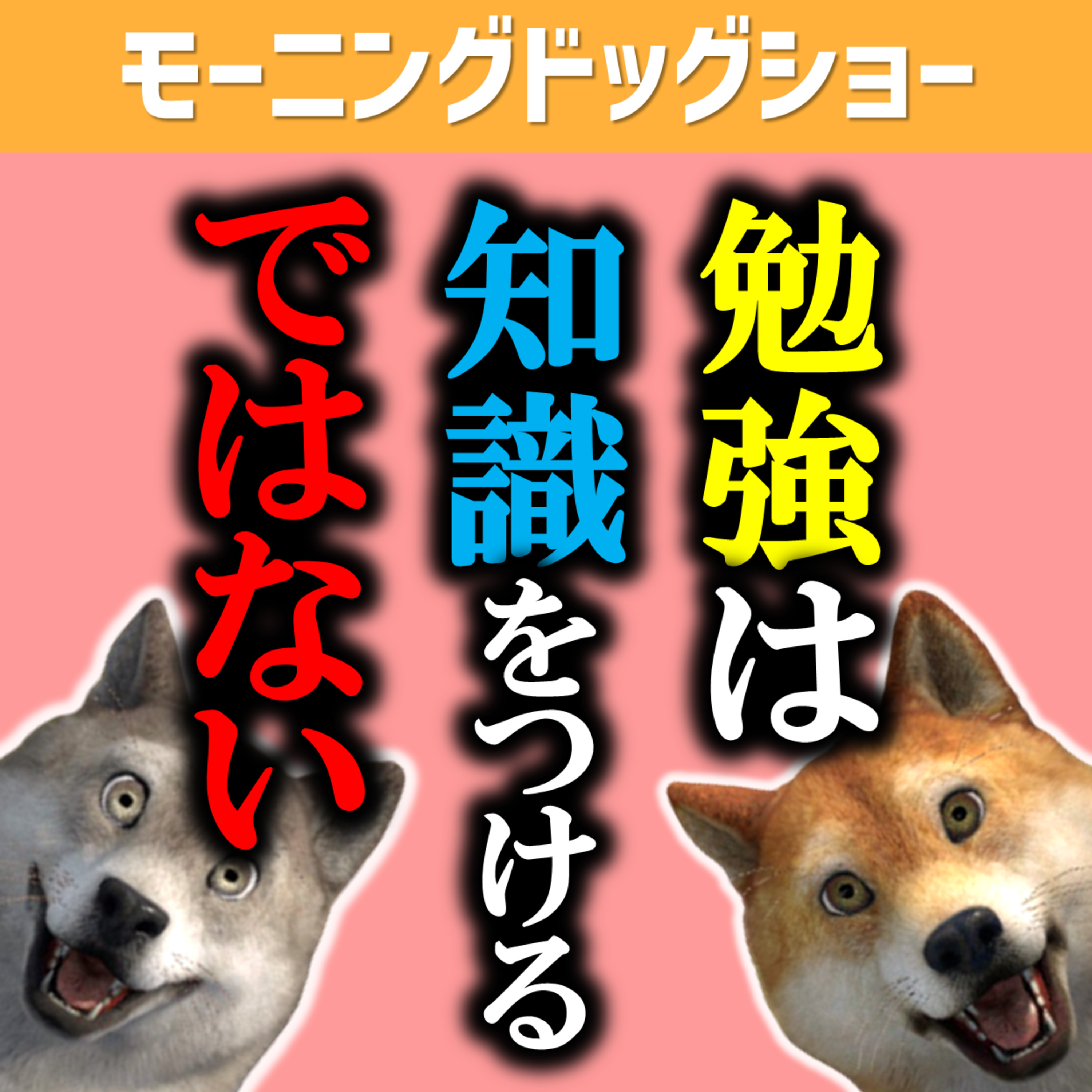 「知ってる」を増やすのではなく「知らない」を増やす episode artwork
