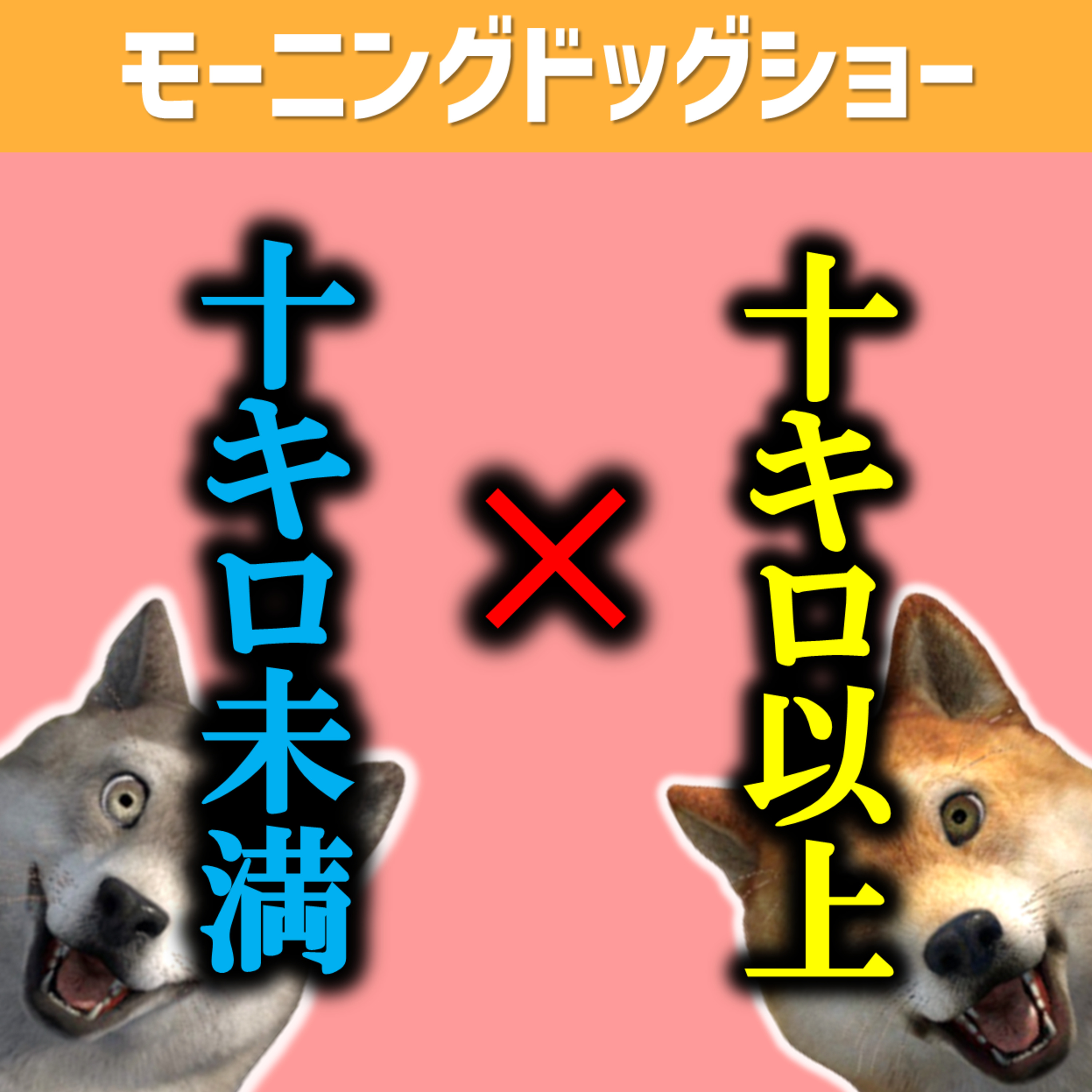 10km走ったこと、あるorない episode artwork