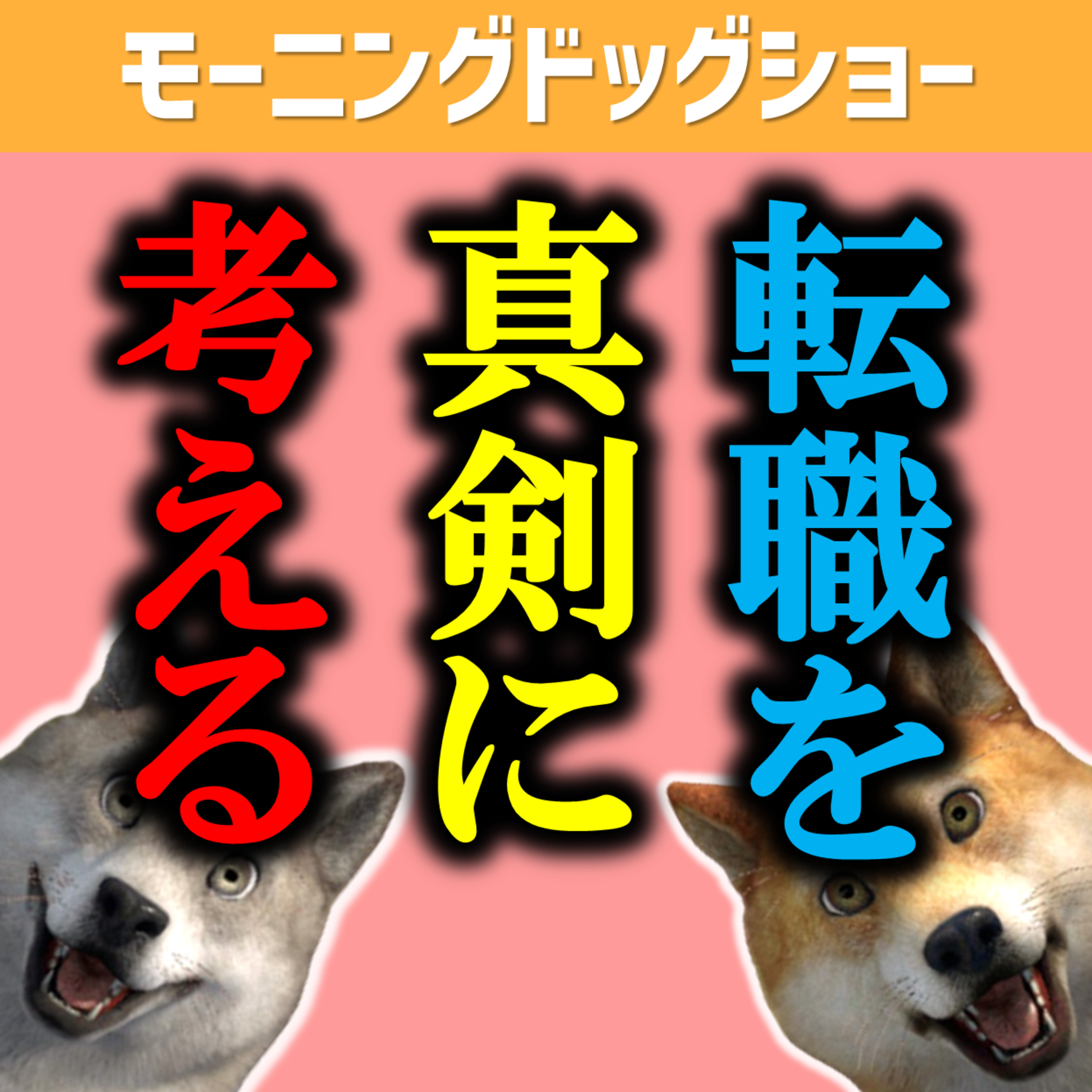 【質問】転職のタイミングとすべきか否かの判断基準 episode artwork