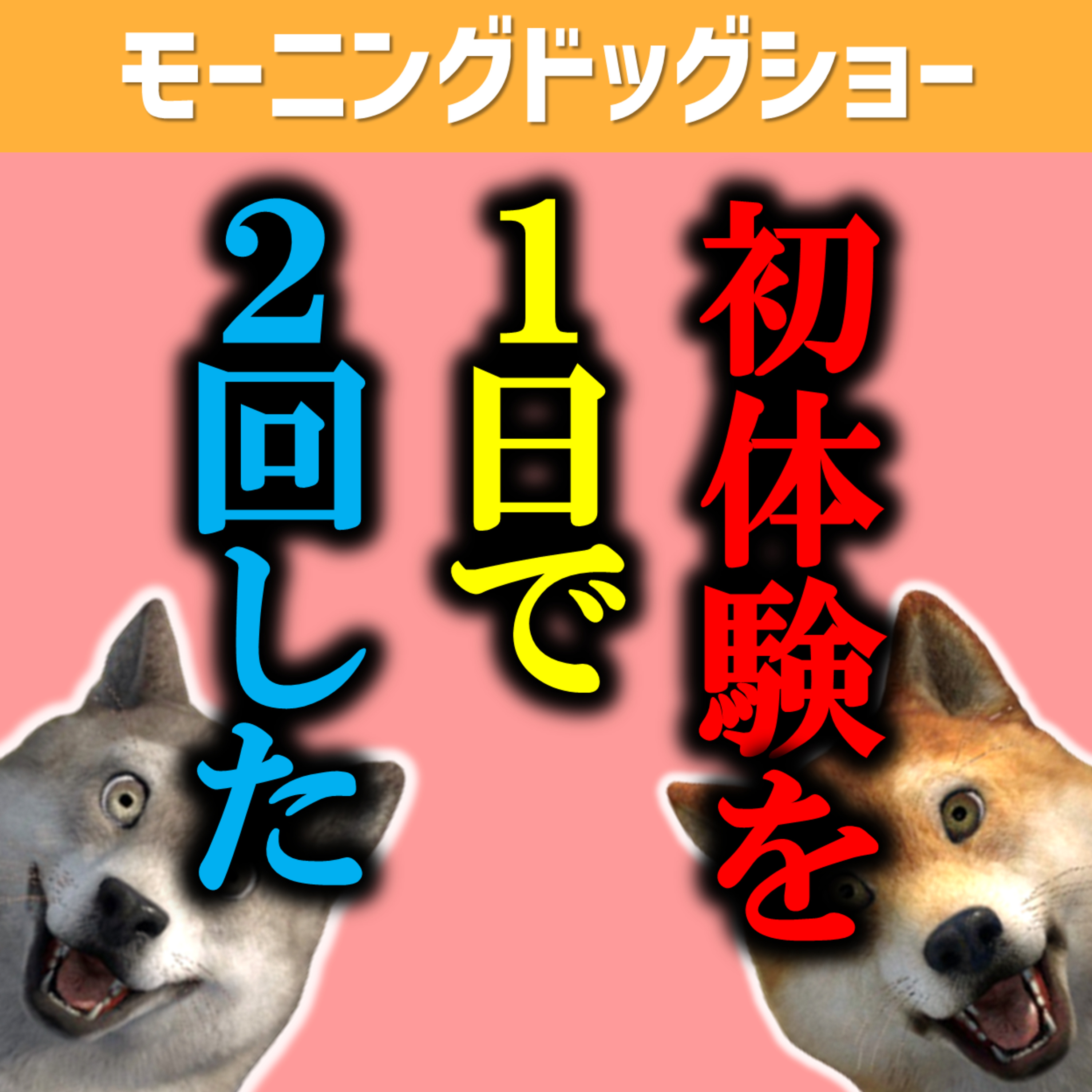 初体験を1日で２回経験した男の末路 episode artwork