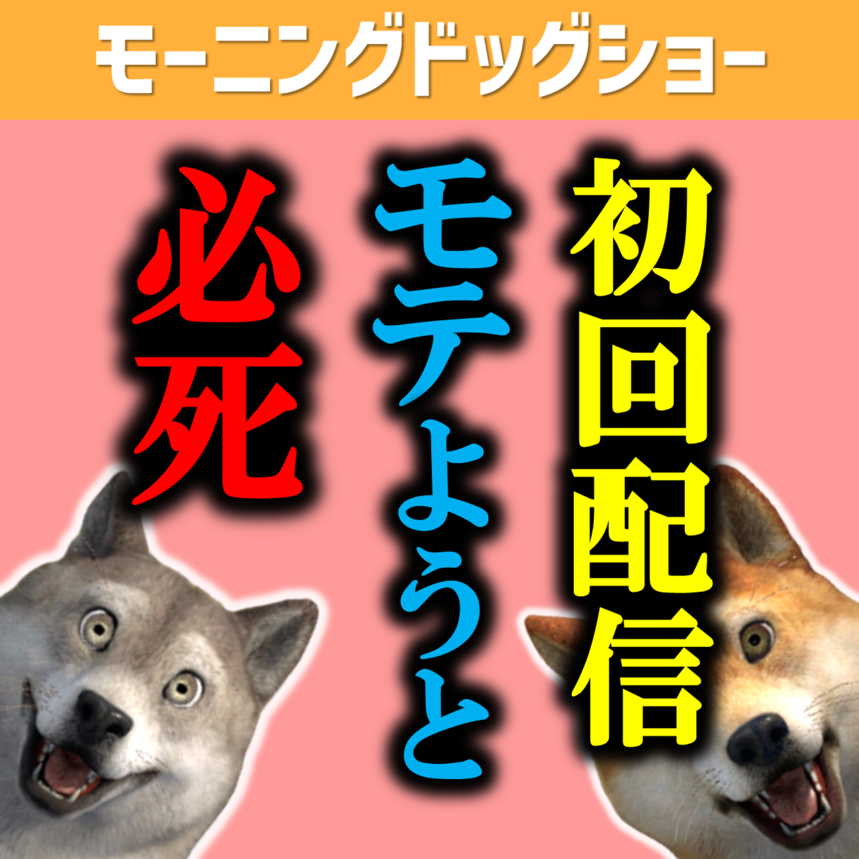 初回配信、1ヶ月後、1年後を比較したらすごいことが判明した episode artwork