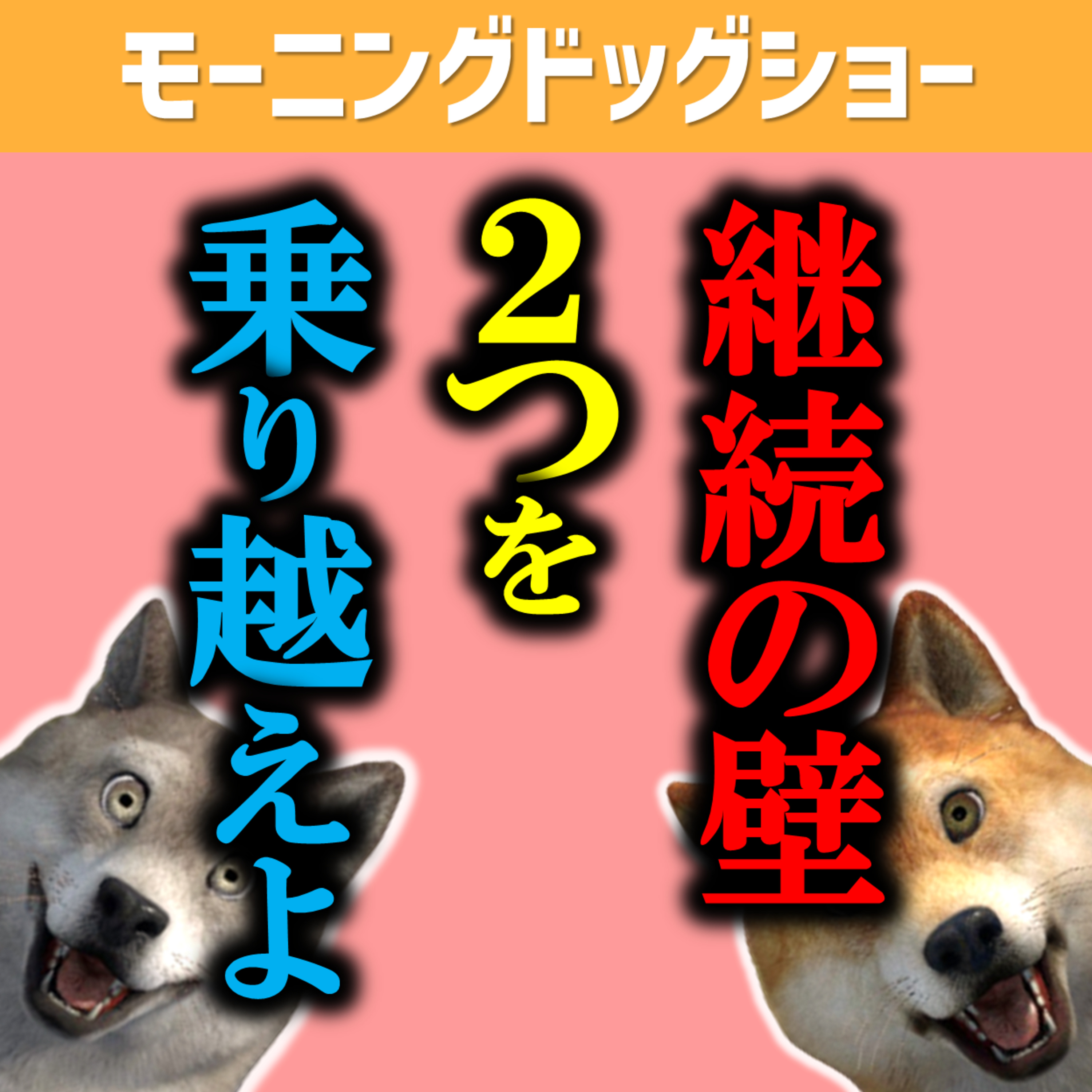 継続の壁を乗り越えるために最も大切にしてきたこと episode artwork