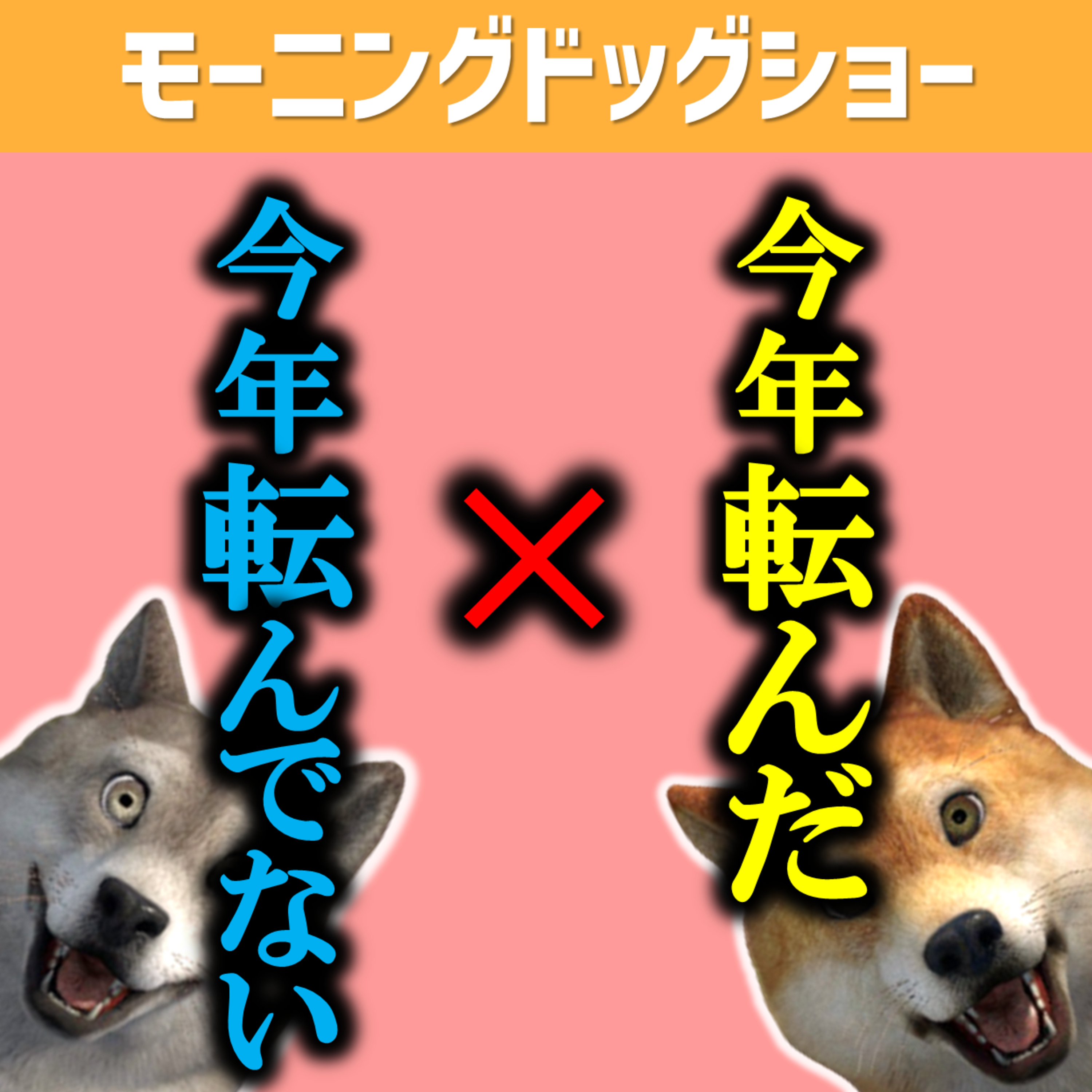 今年すでに、転んだor転んでない episode artwork