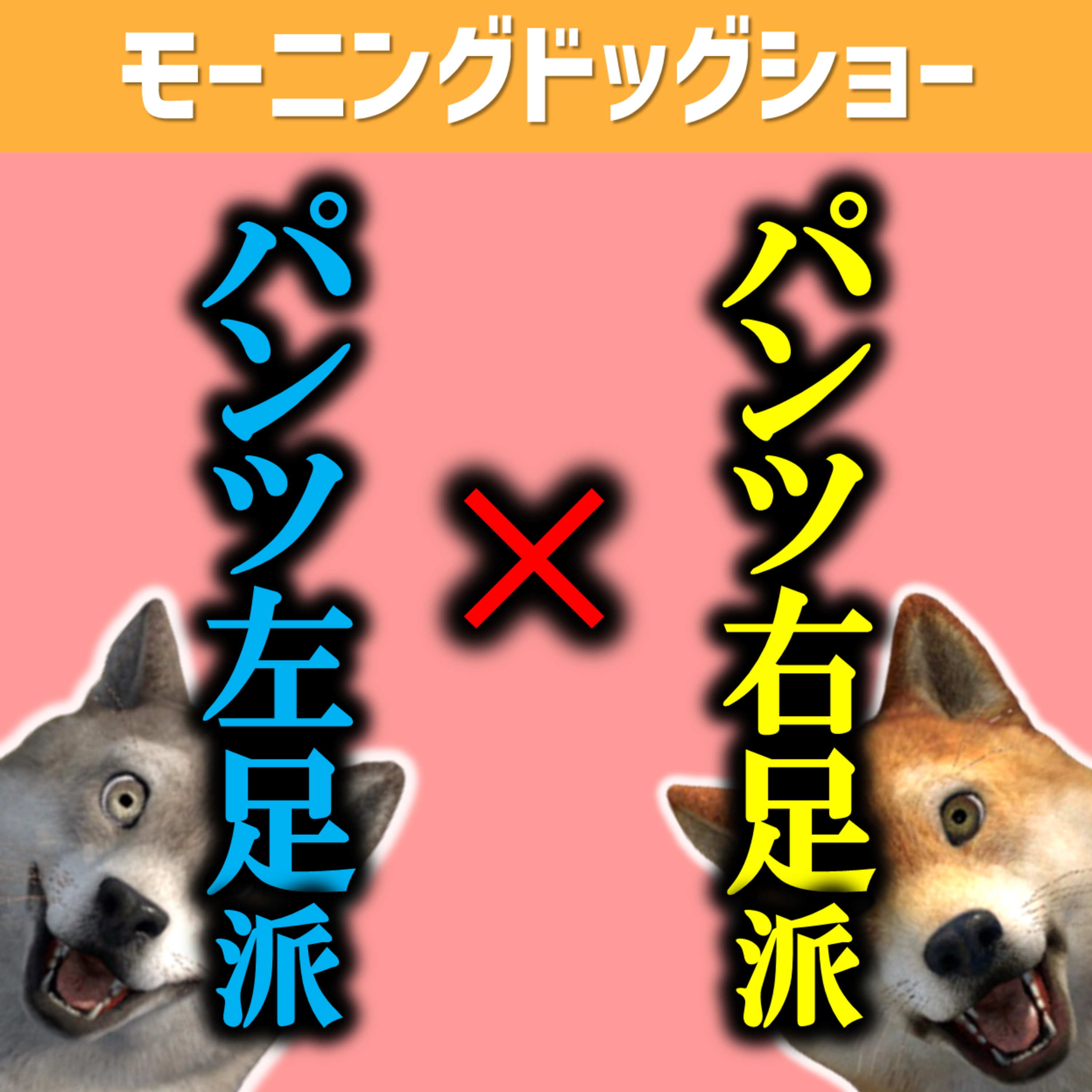 パンツは右足派ですか？左足派ですか？両足派ですか？ episode artwork