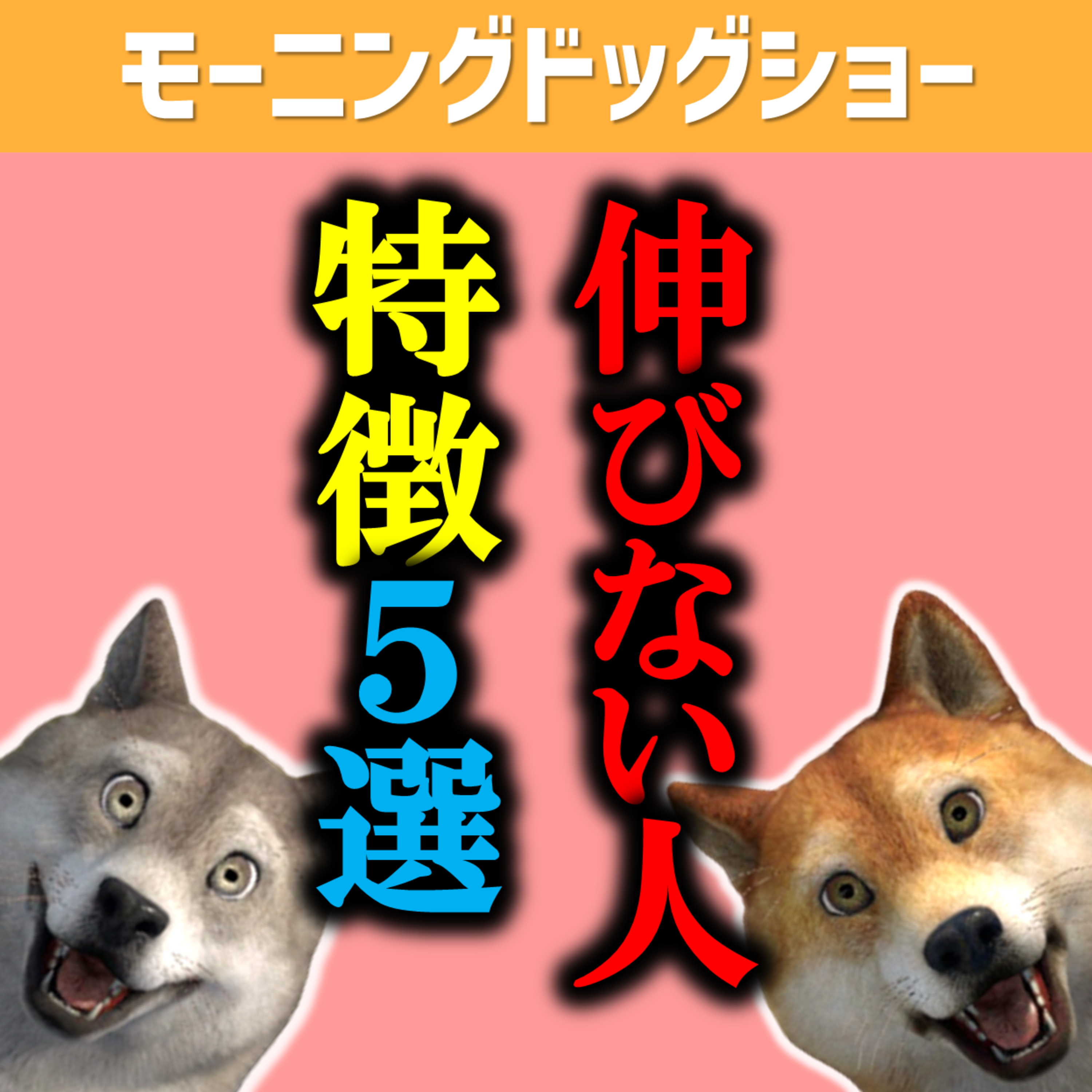 【要注意】伸びない人の特徴５選 episode artwork
