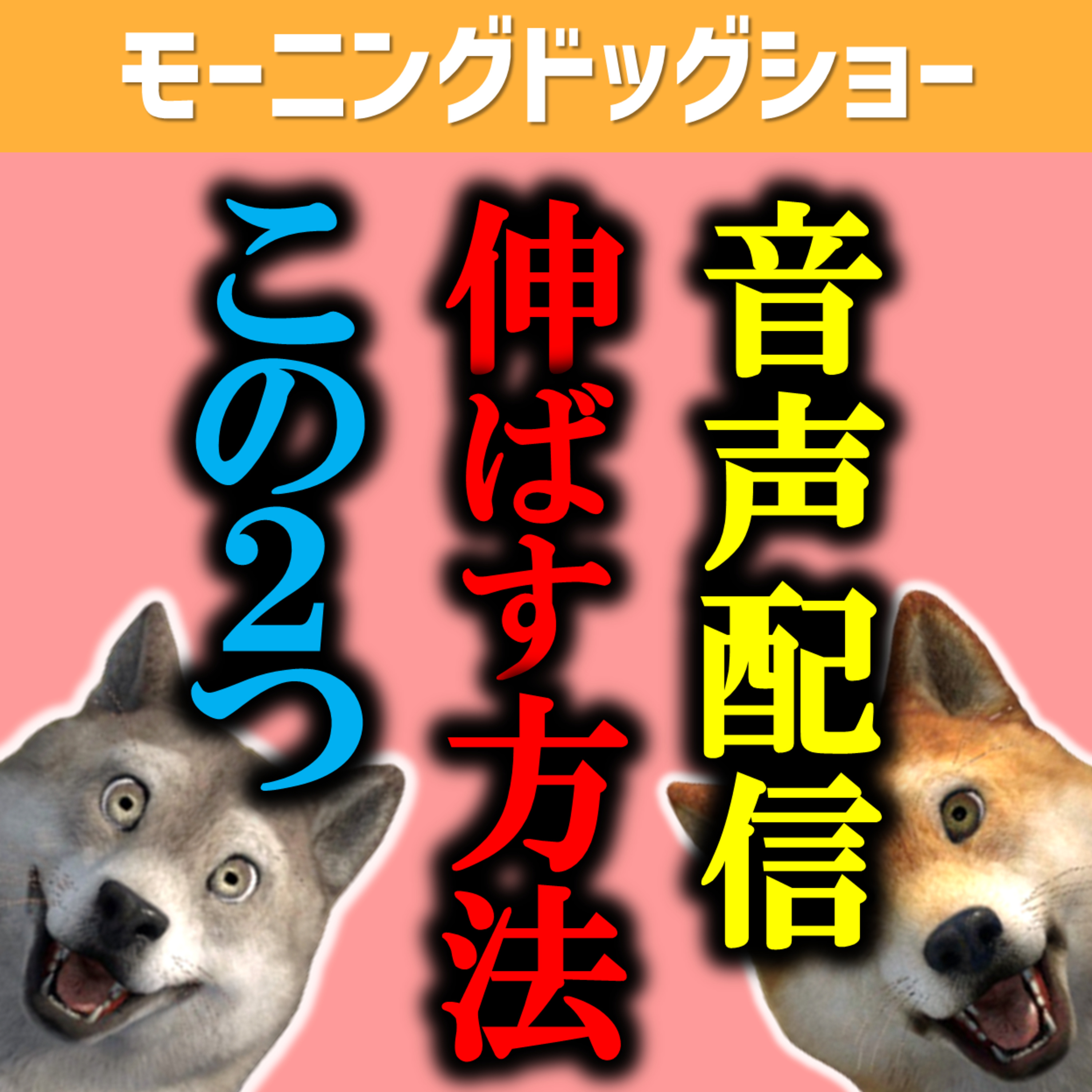 【たった２つ】音声配信を伸ばす方法２選 episode artwork