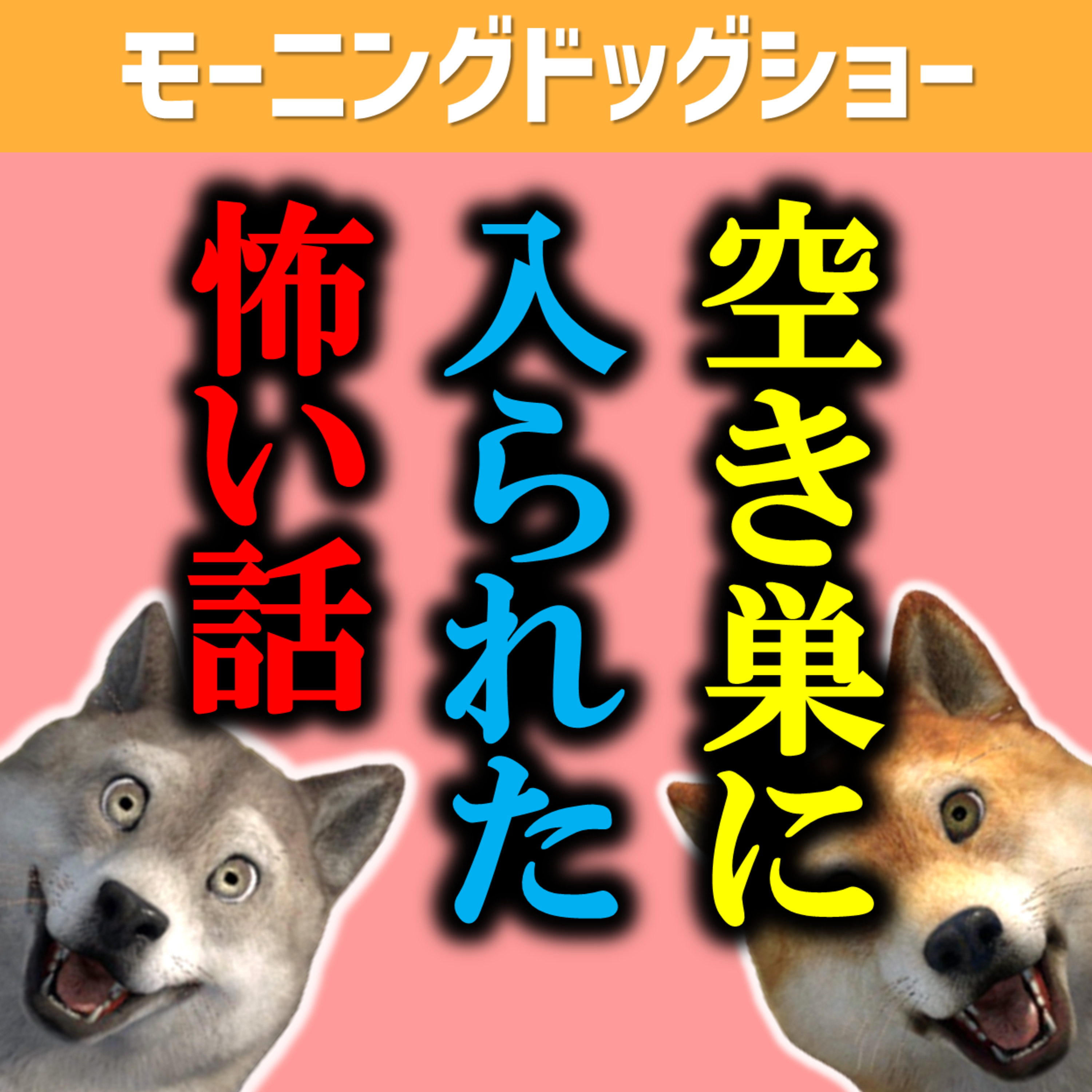 空き巣以外にも存在する怖い人間たち...。 episode artwork