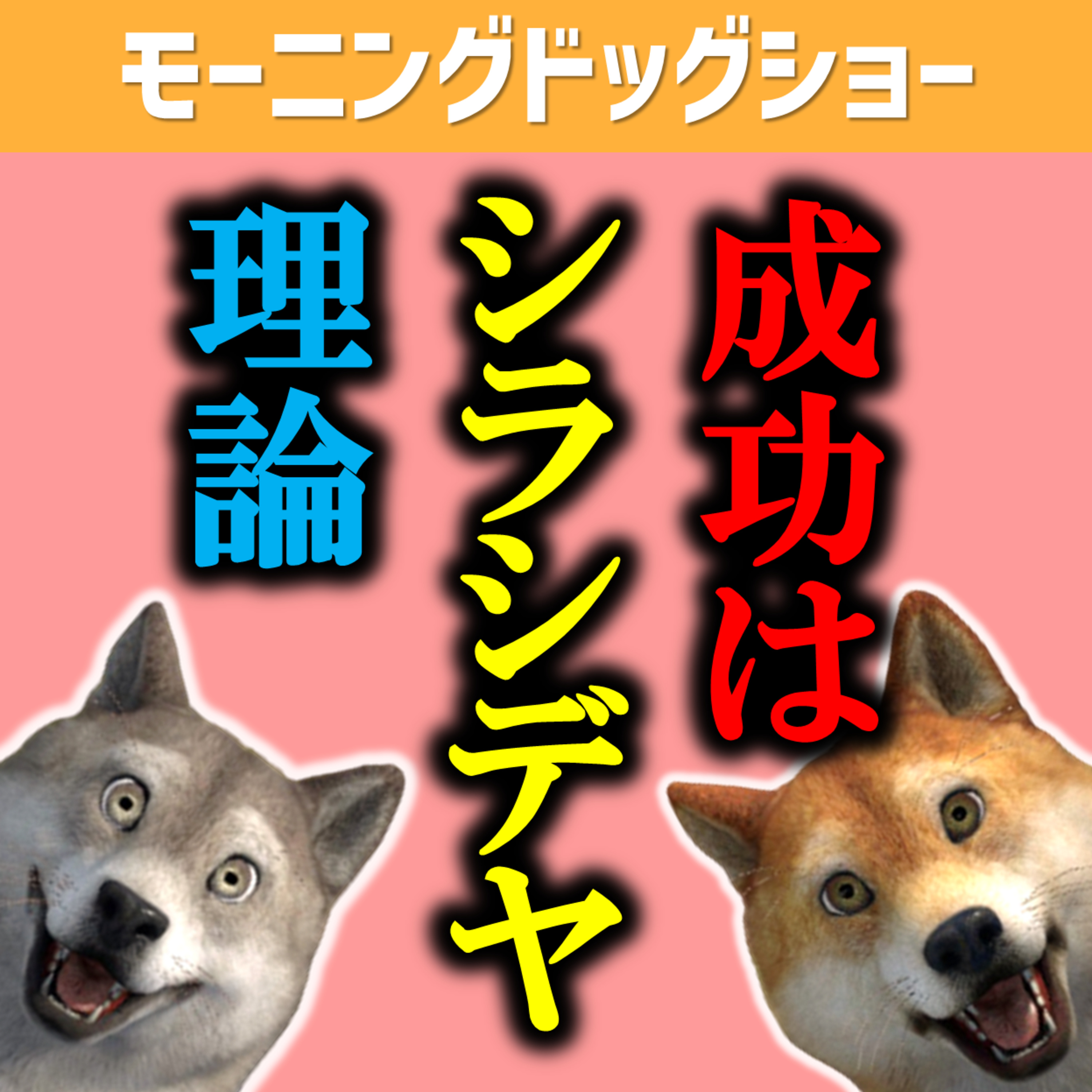 人生成功の鍵はシラシデヤ理論 episode artwork