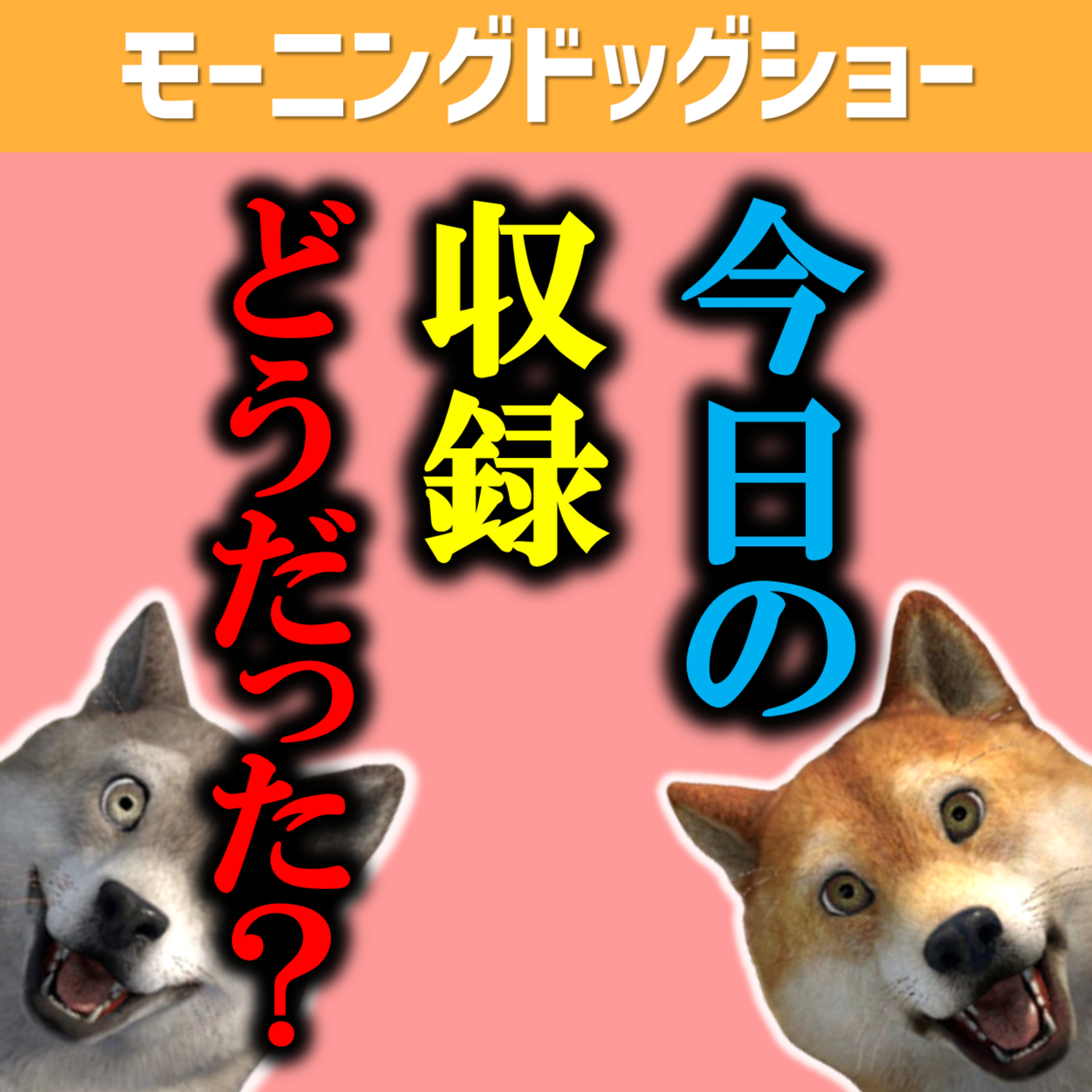 【日曜企画】今日の収録どうだった？ episode artwork
