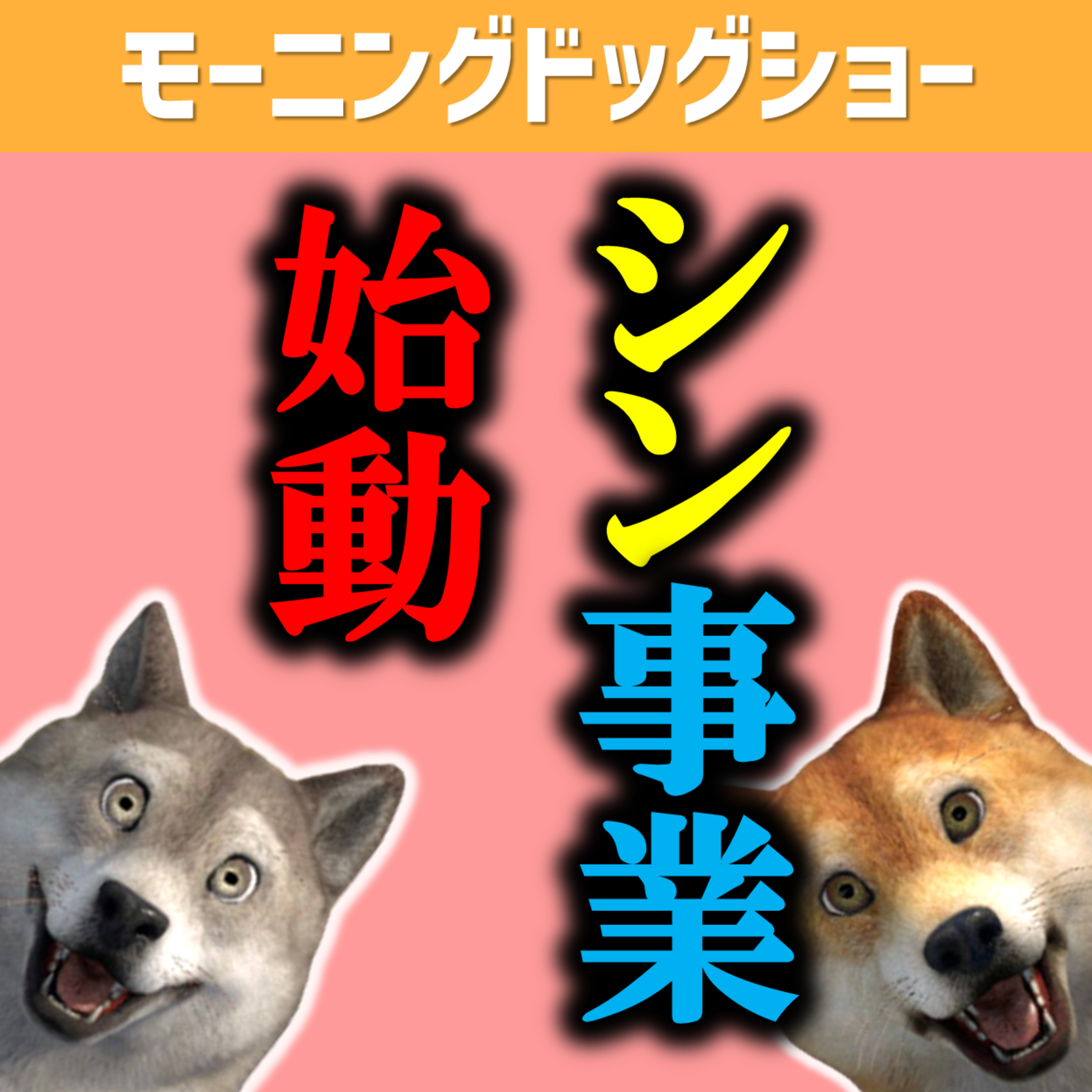 新規事業を開始いたします。 episode artwork