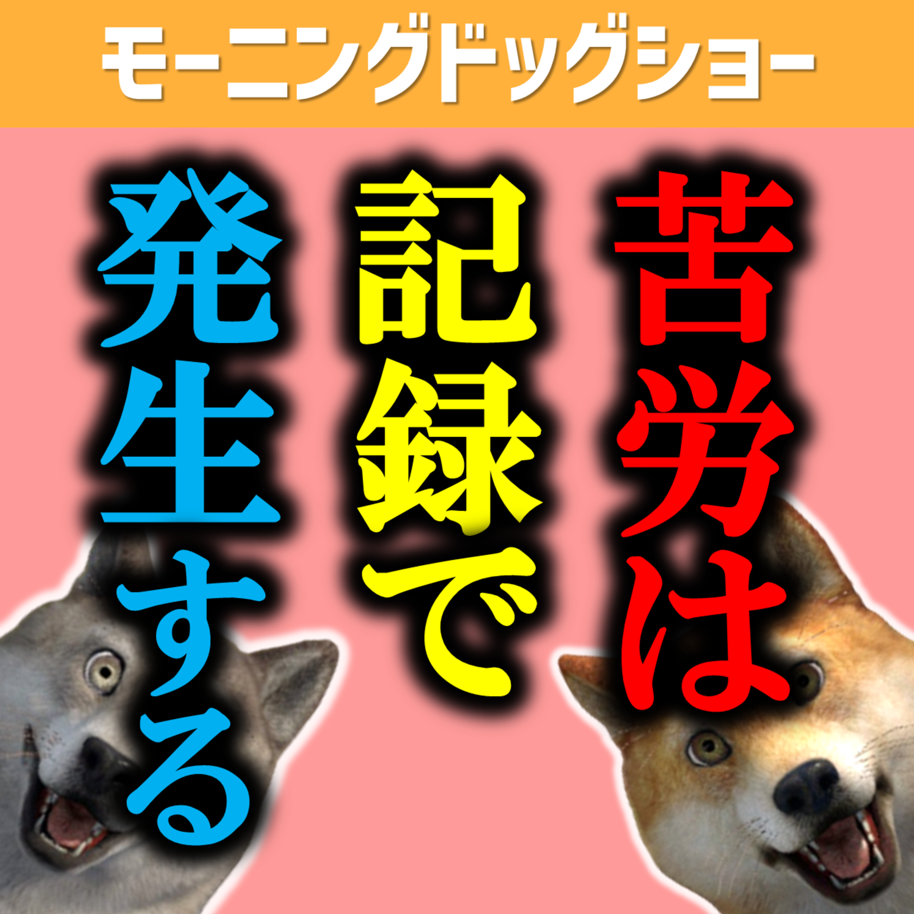 苦労は記録をすることで初めて苦労になる。 episode artwork