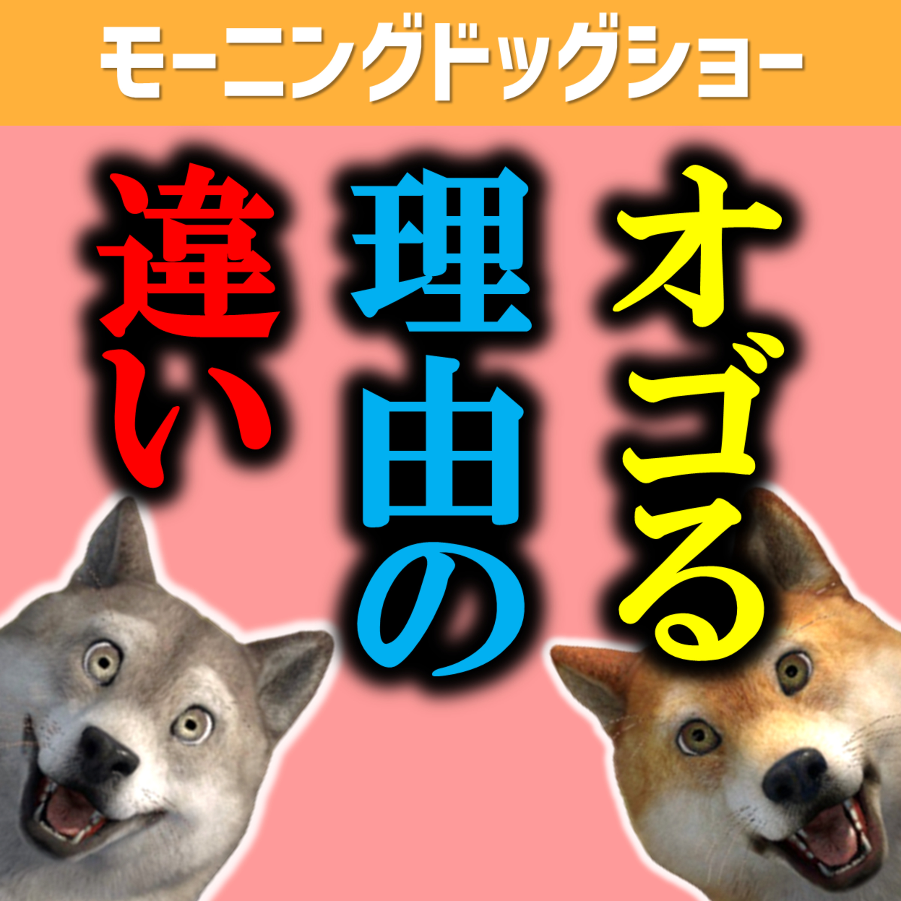 奢る理由が「かっこつけ」ではない男 episode artwork