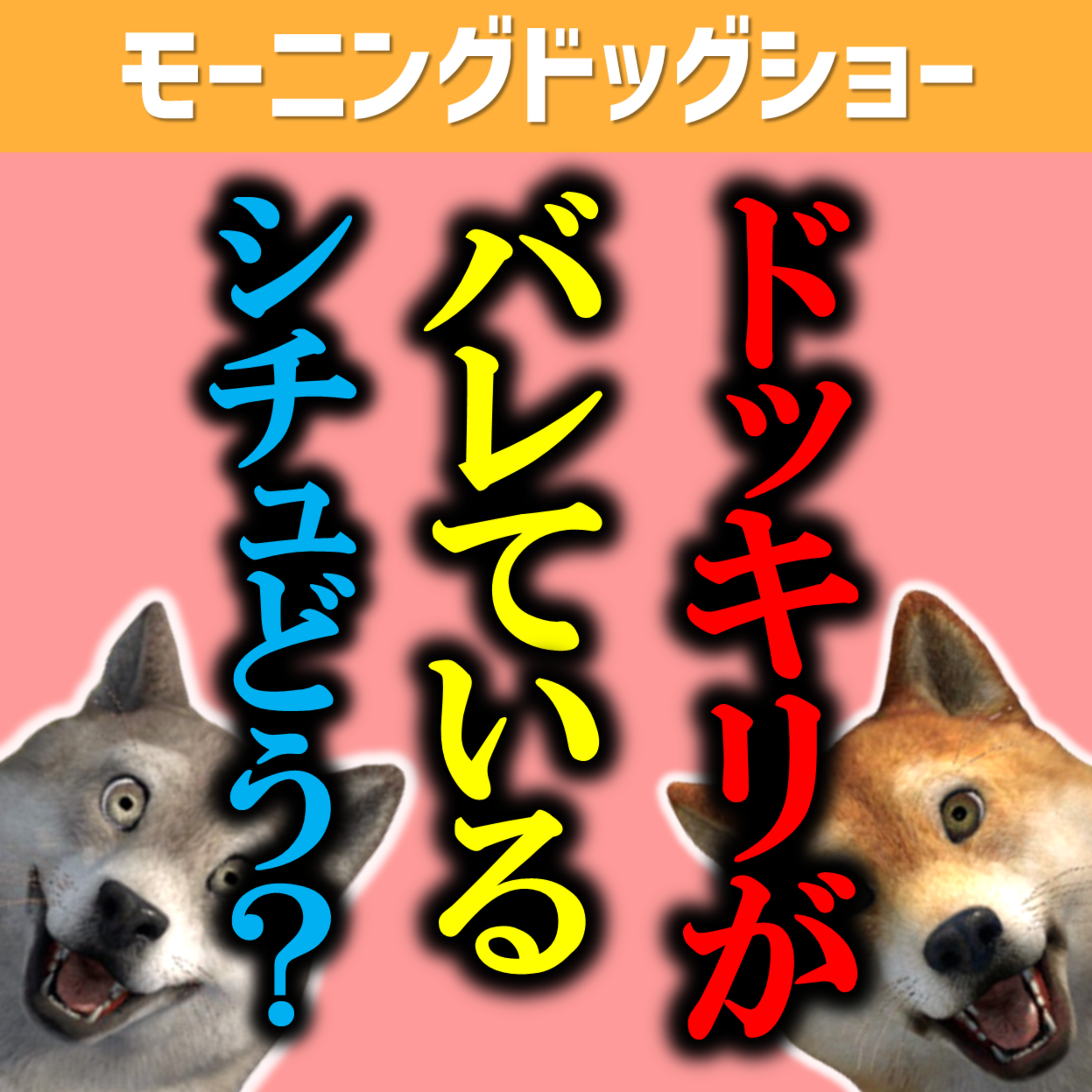 これはドッキリ分かるんじゃないか？というシチュエーション episode artwork
