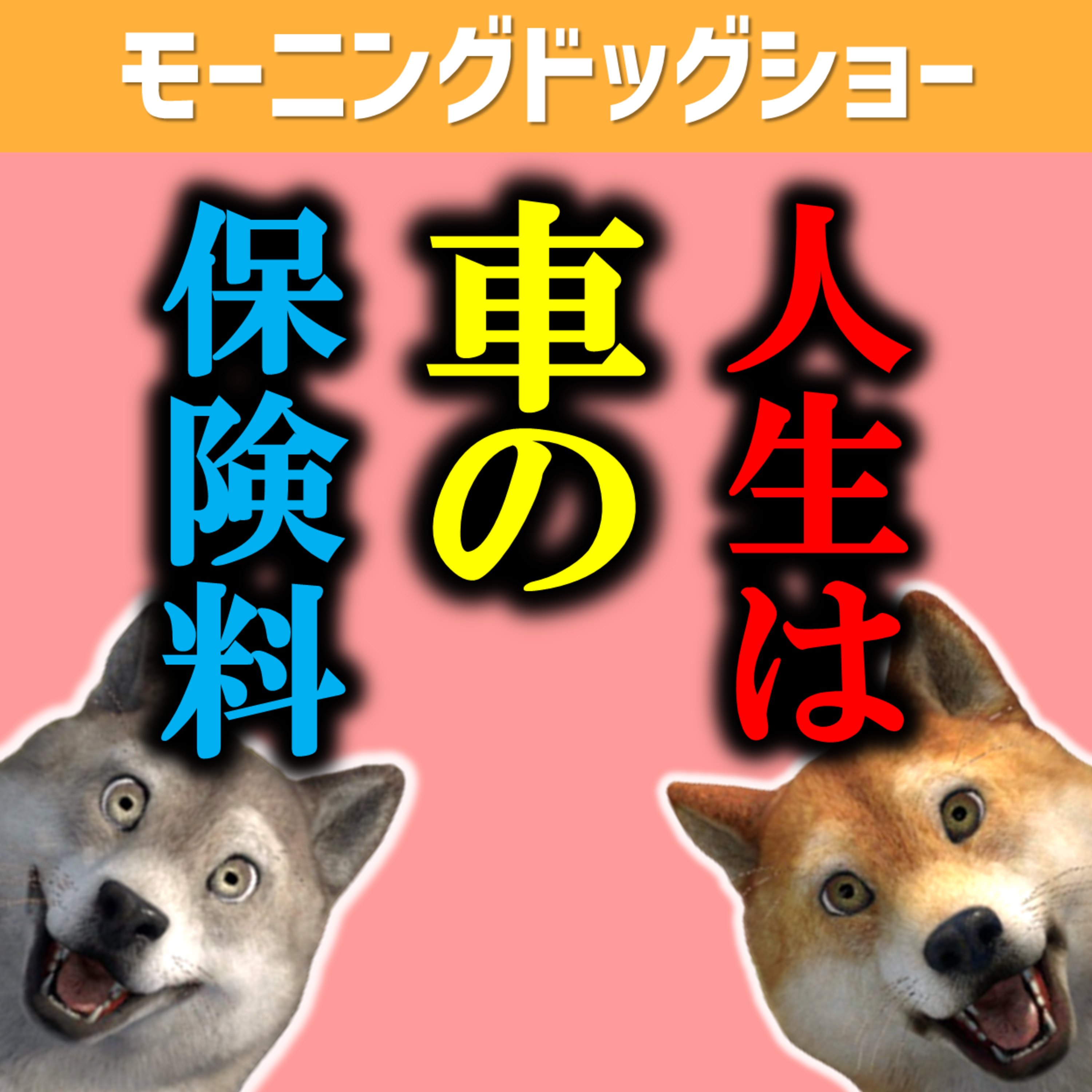 人生とは車の保険料である｜運転は運動神経 episode artwork