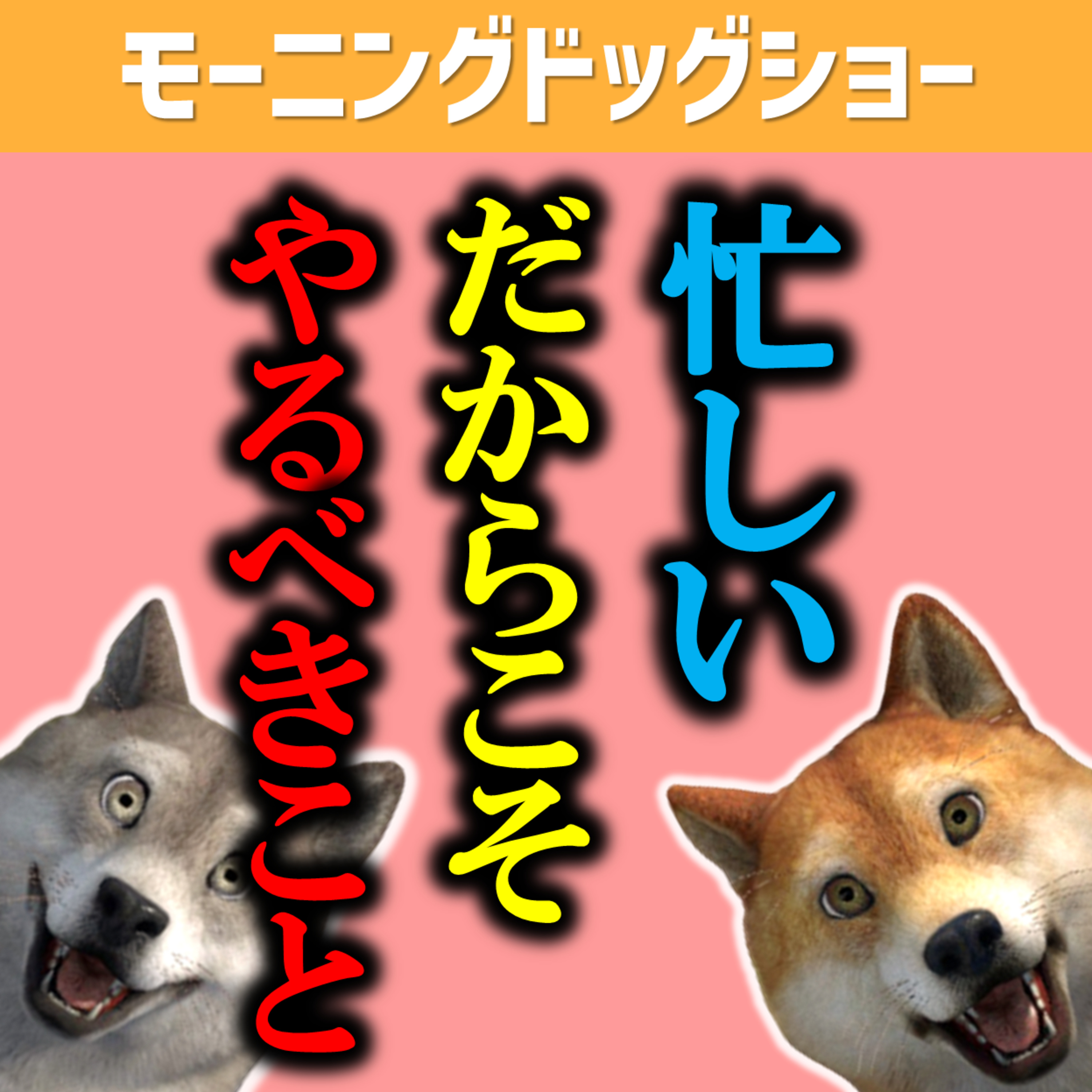忙しいときにこと必要なルーティンを差し込んだ男 episode artwork