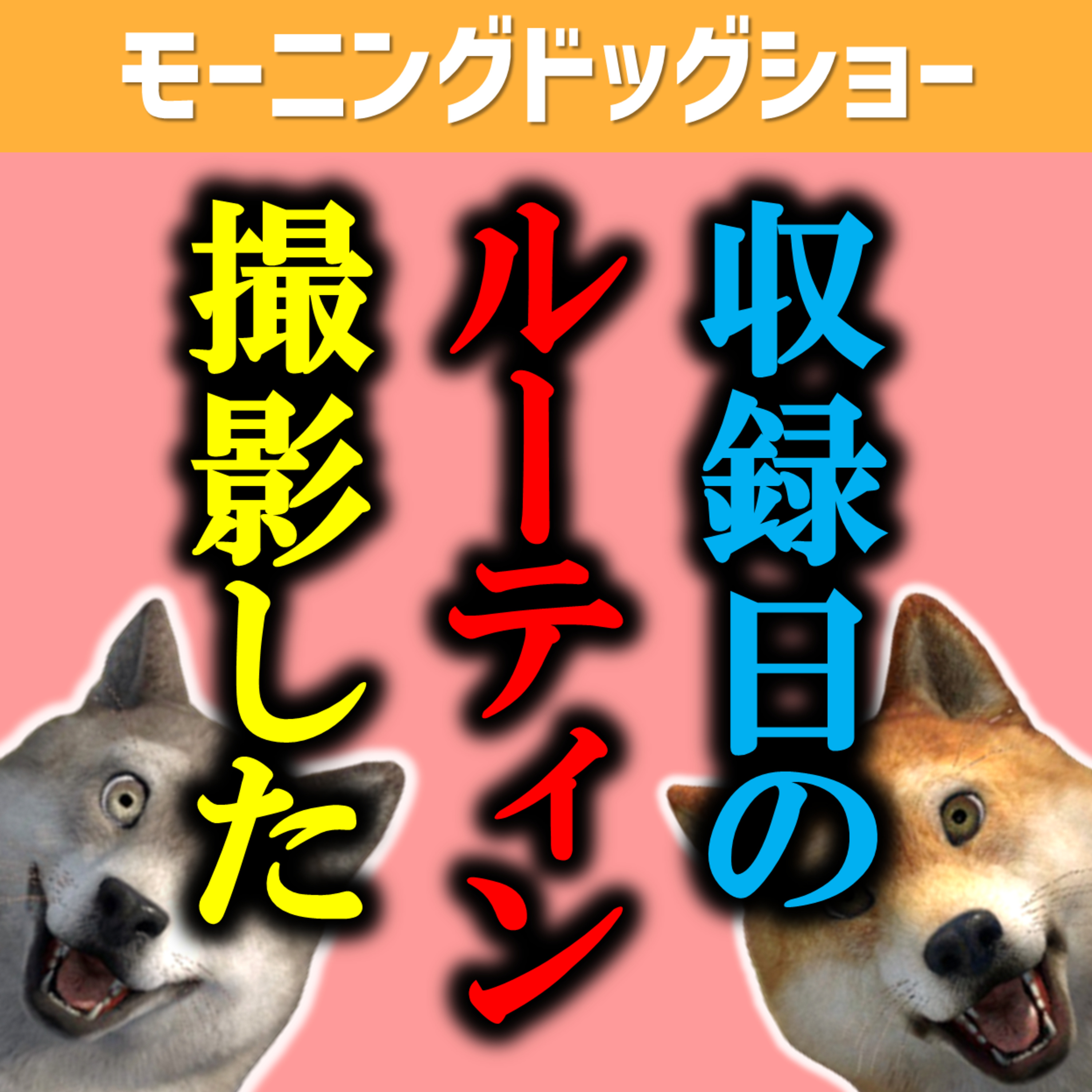 【本当の裏側】収録日のVlogを撮影しました。 episode artwork