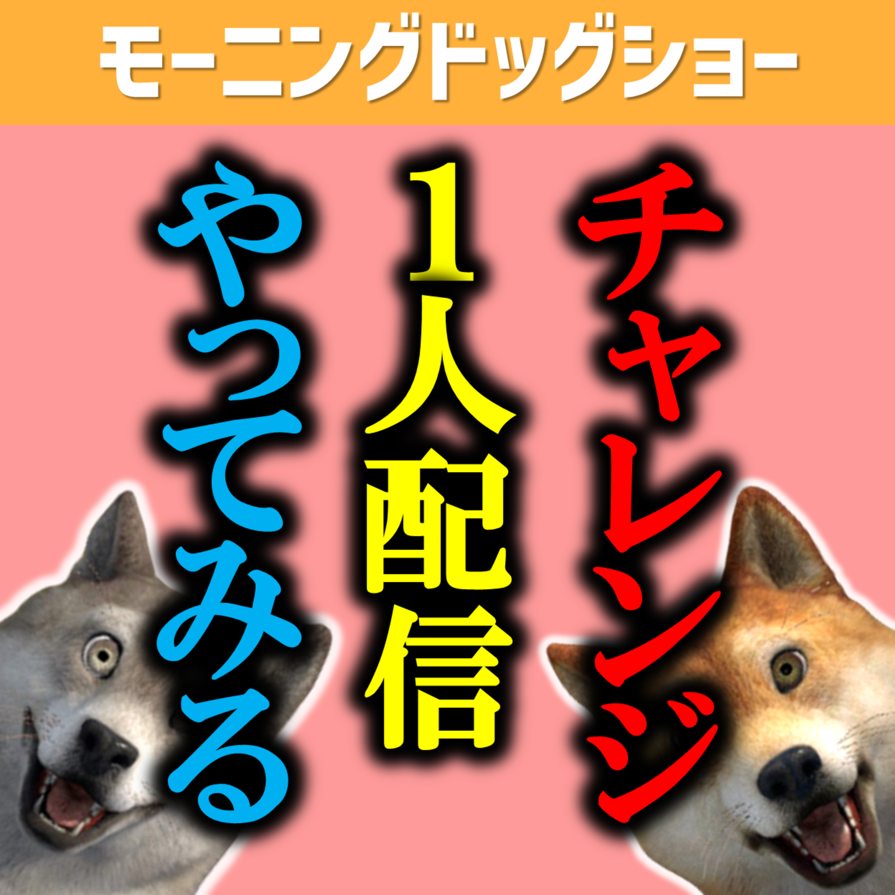【チャレンジ】１人で配信を行うことにします!!!!! episode artwork
