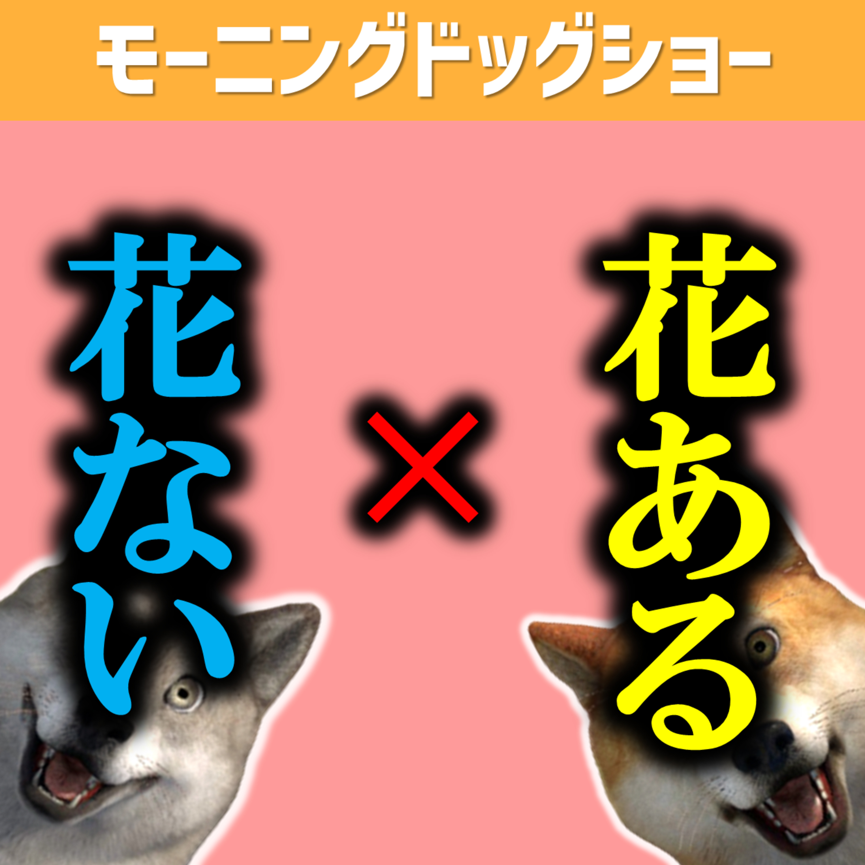【LIVE12:20-12:40】リビングに花、あるorない　どっちか教えて！ episode artwork